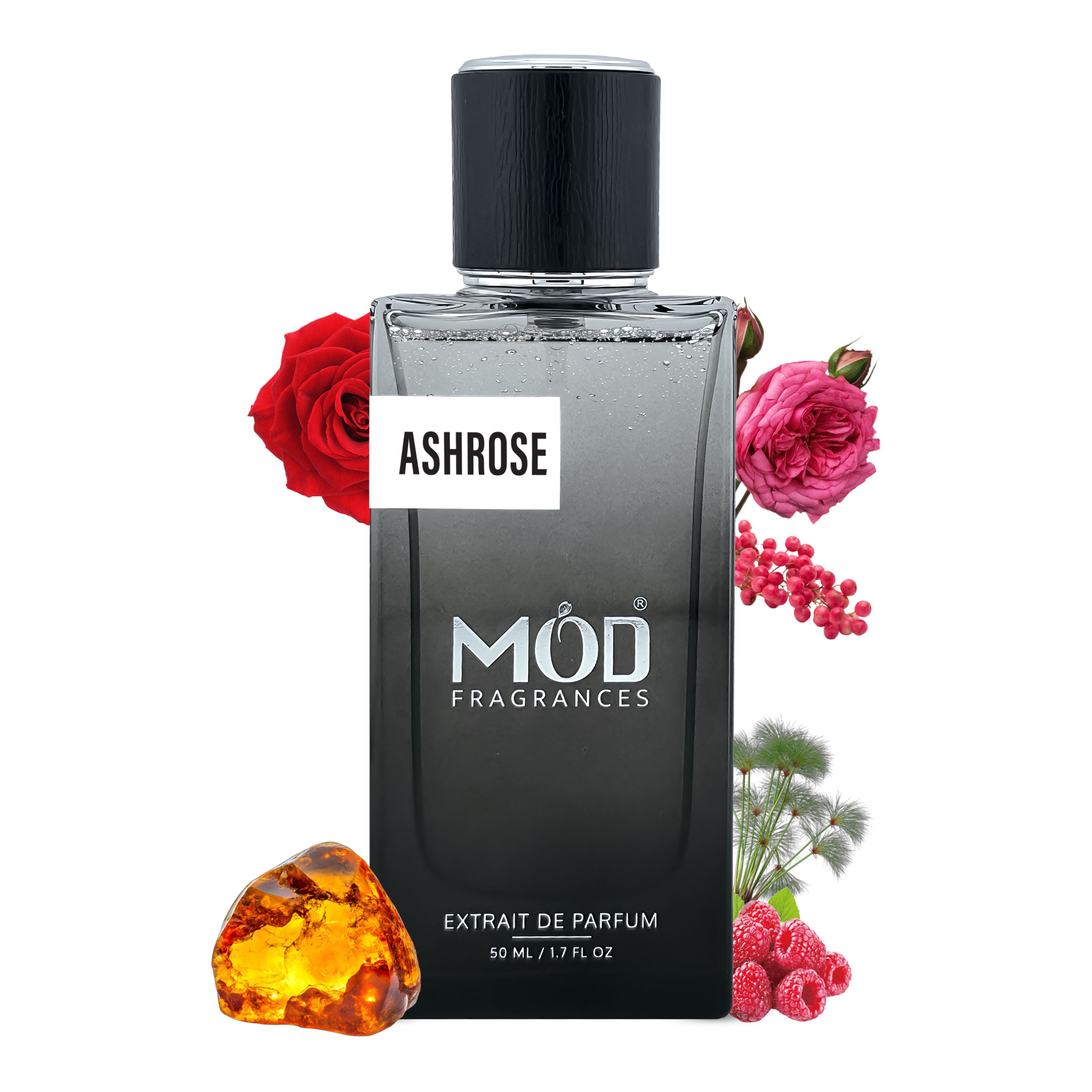 Ashrose - Mod Fragrances