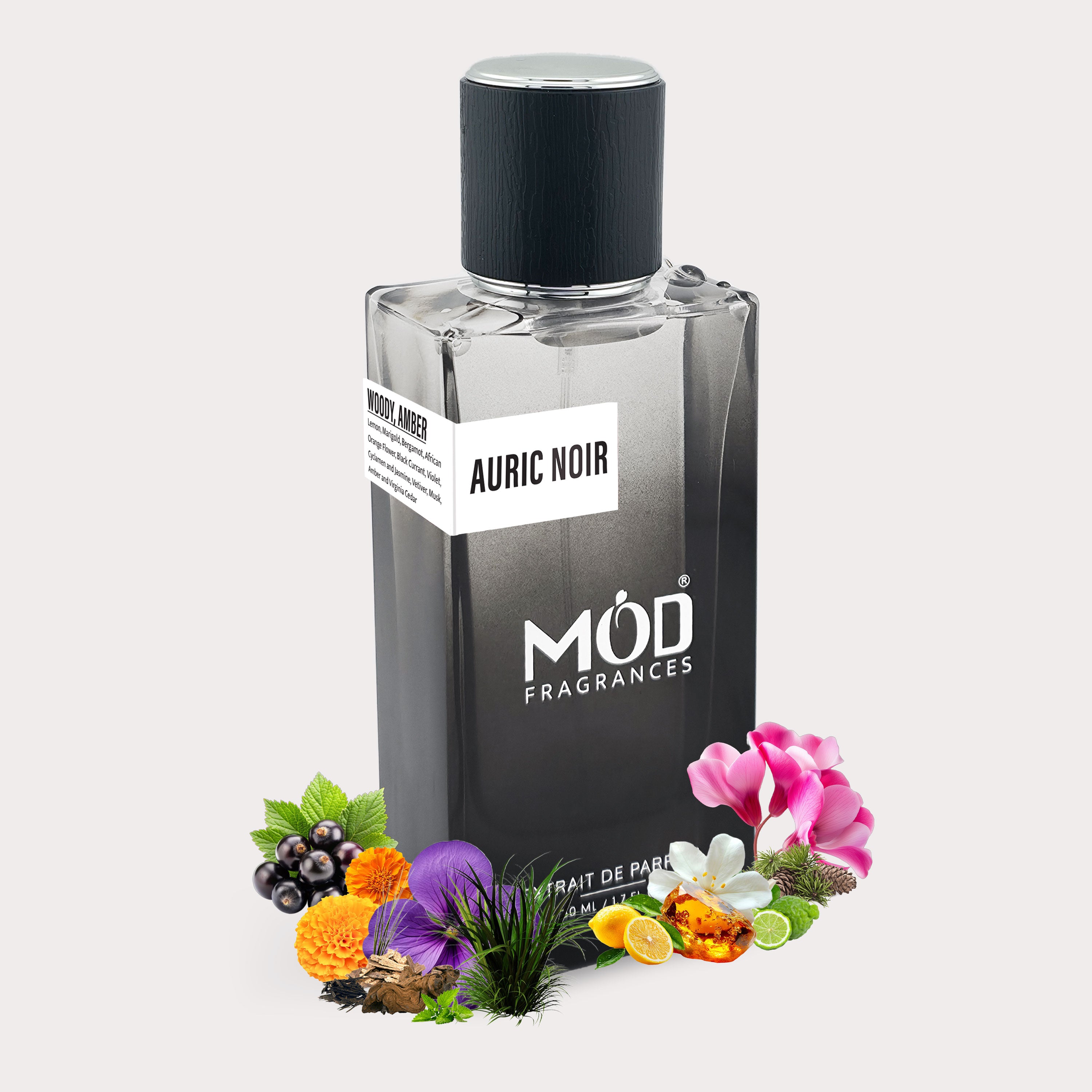 Auric Noir - Mod Fragrances