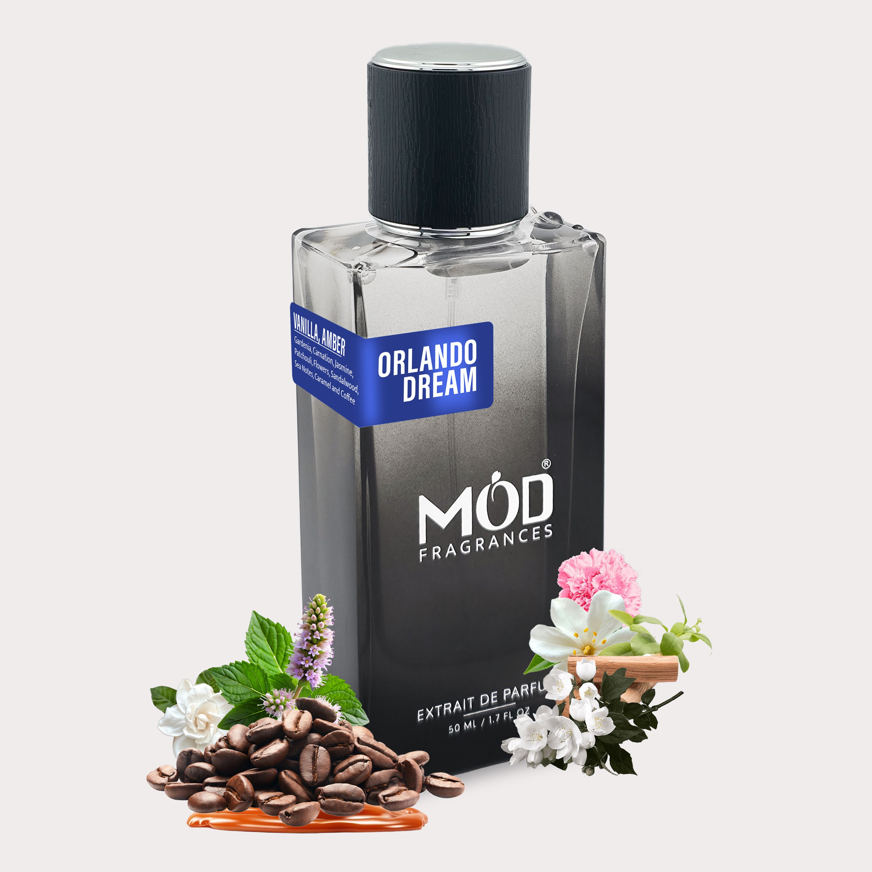 Orlando Dream Extrait de Parfum by Mod Fragrances – A Captivating New York Nights Dupe with Amber Vanilla Essence