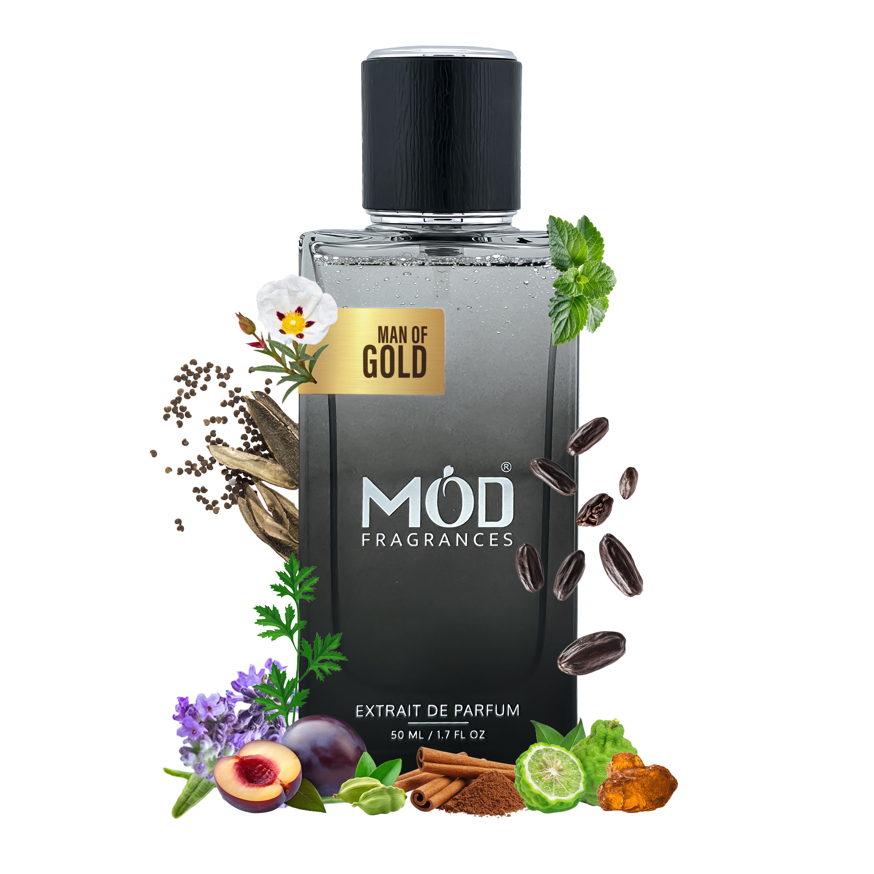 Man of Gold - Mod Fragrances
