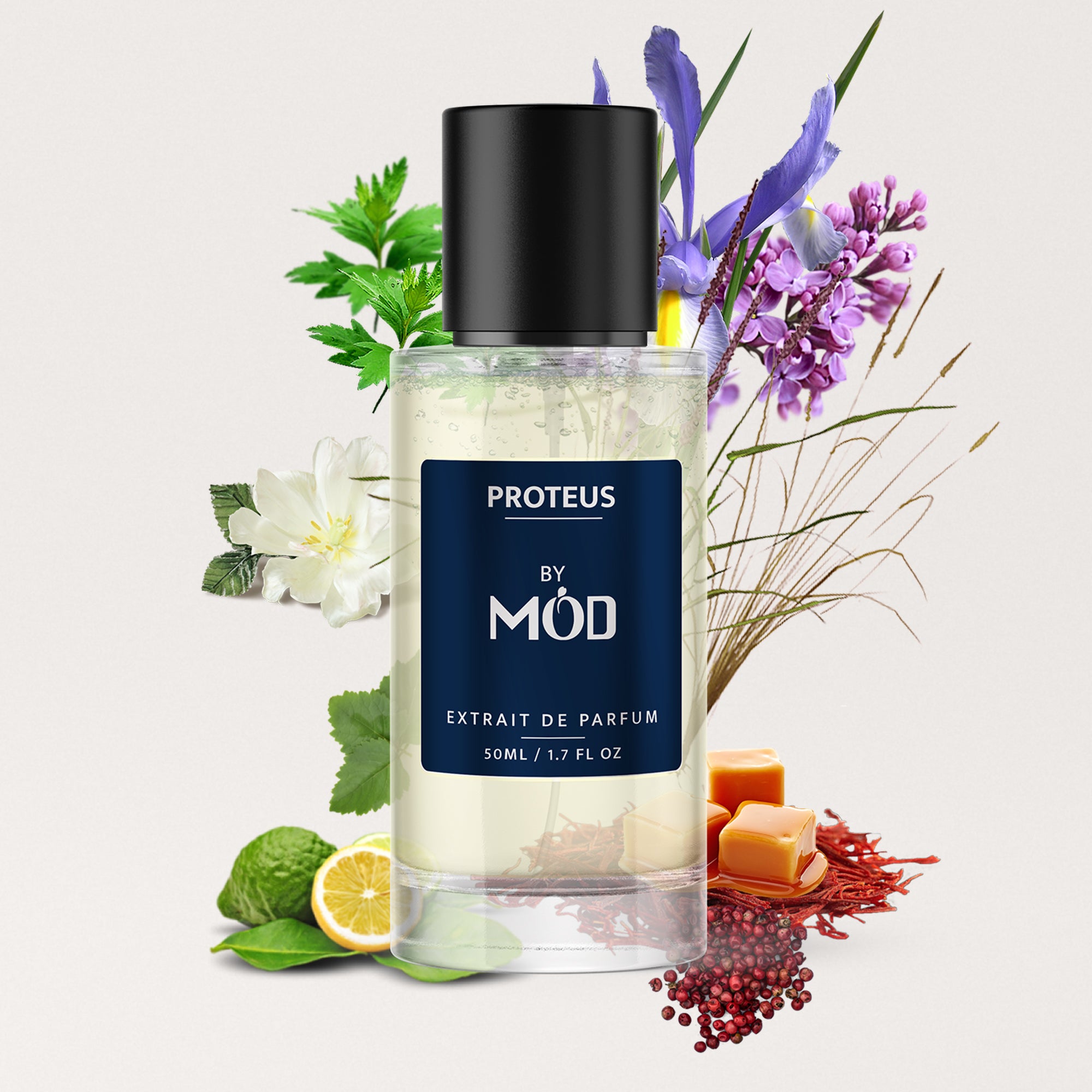 Proteus - Mod Fragrances