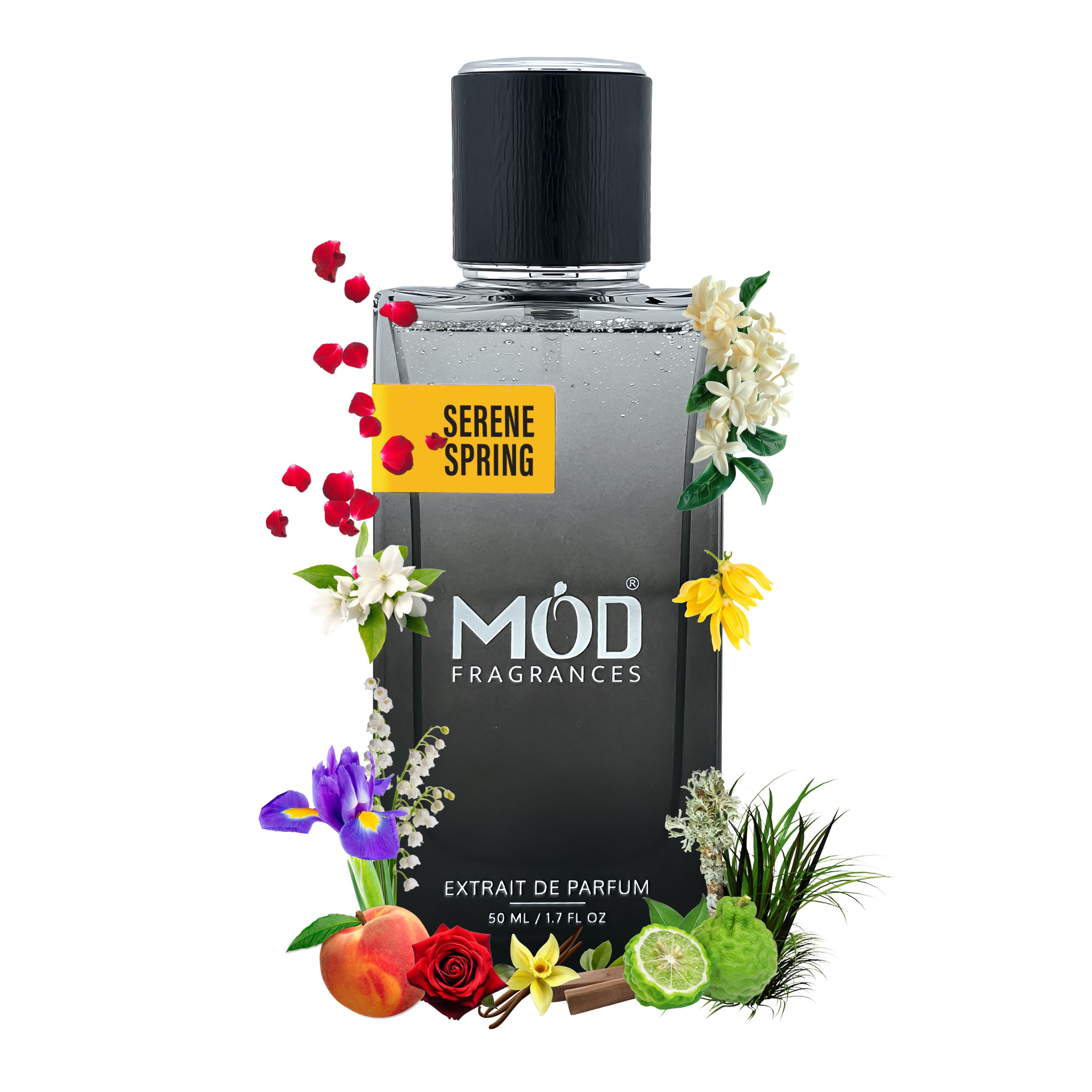 Chanel no 5 dupe Perfume bottle labeled 'Seren Spring' by 'Möd Fragrances' with floral and fruit elements on a white background