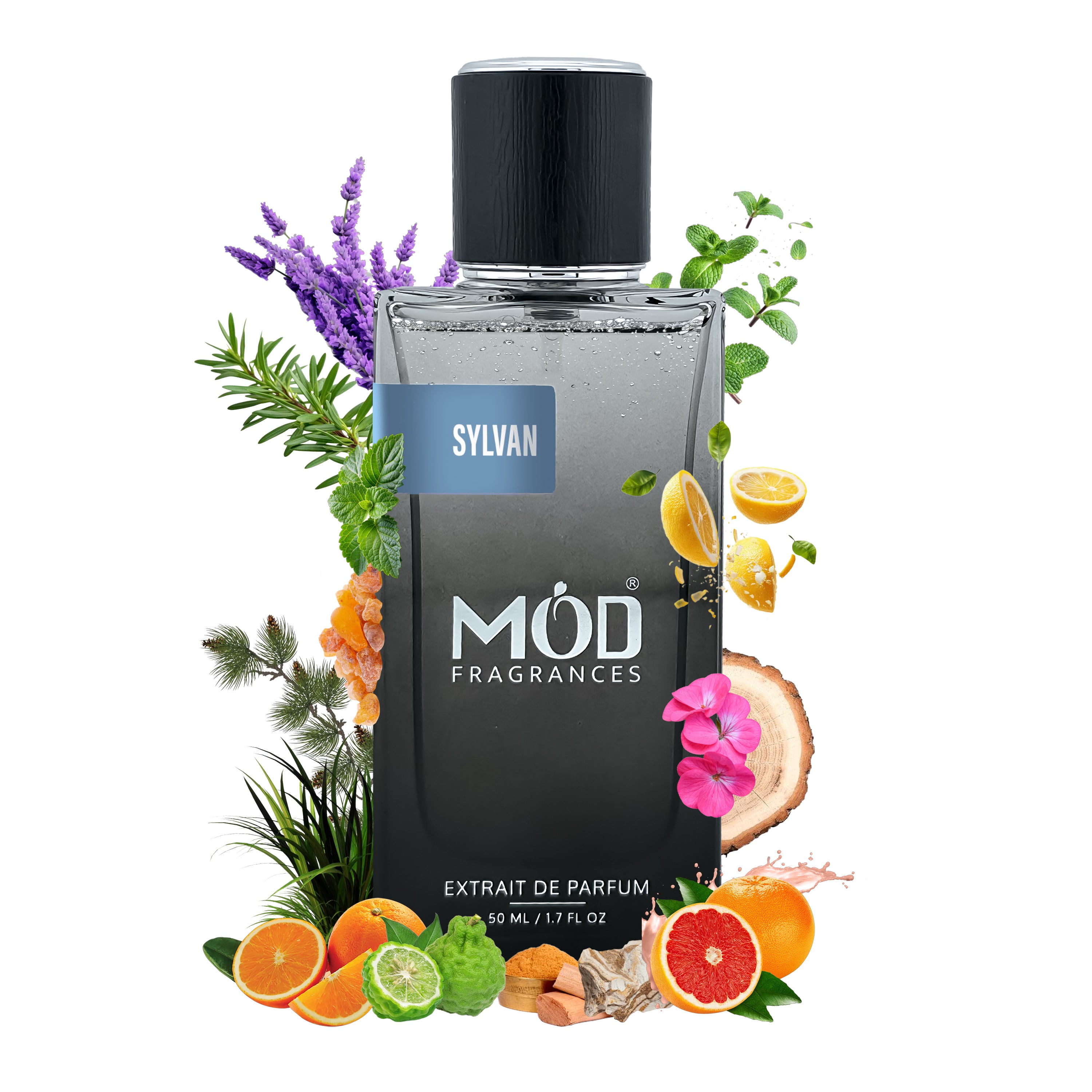 Sylvan - Mod Fragrances