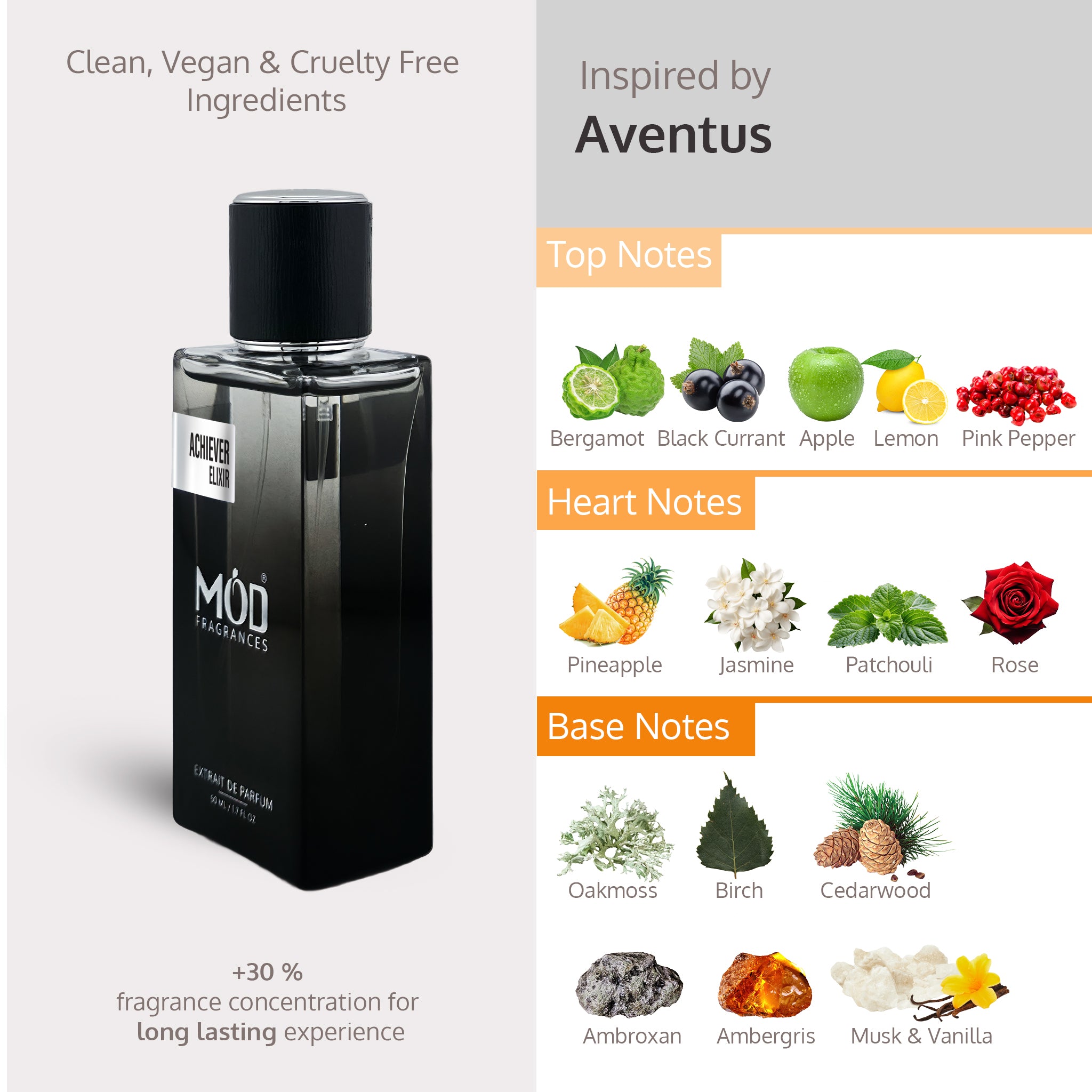 MOD Fragrances perfume bottle with flavor notes on a gray background