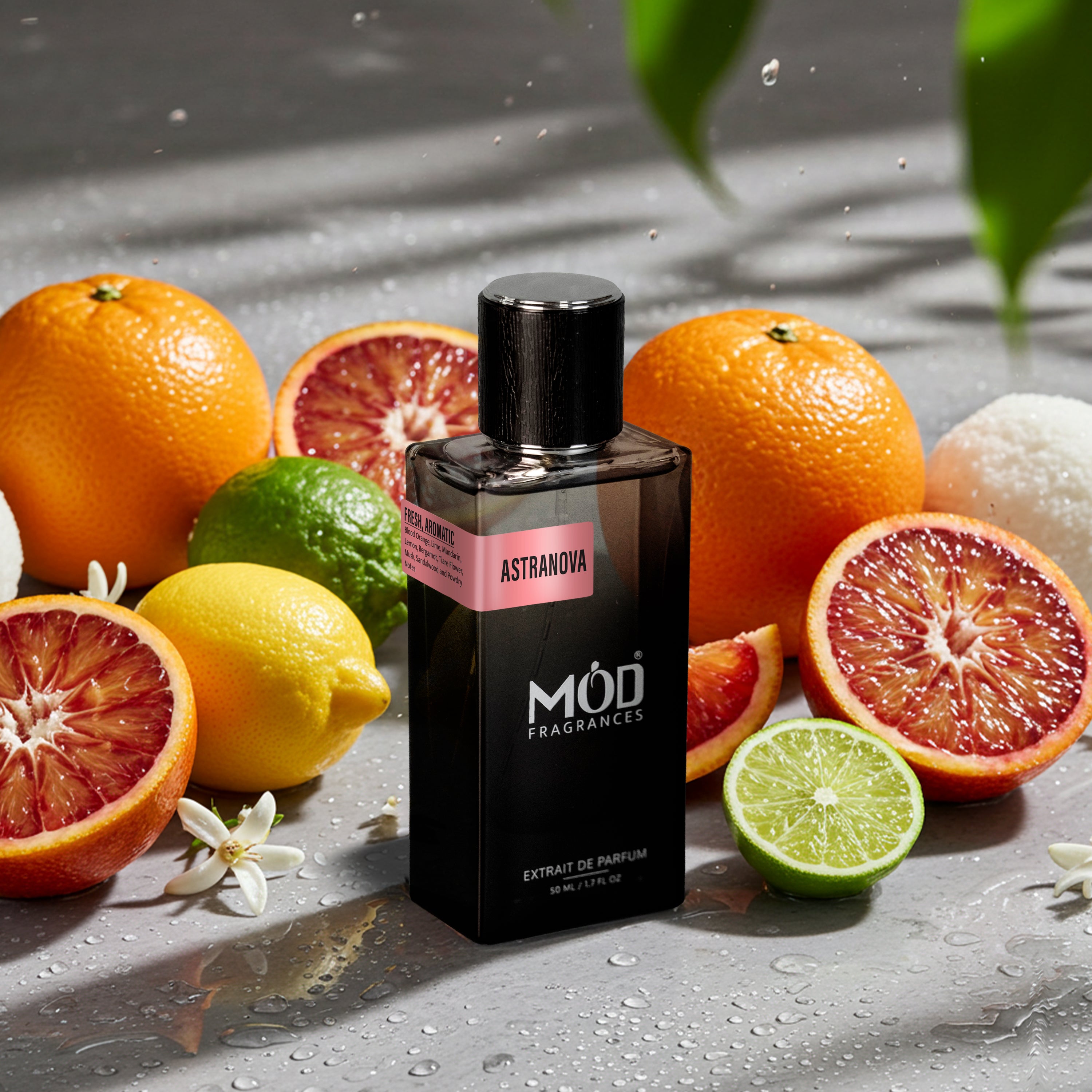 city of stars dupe Astranova MÐd Fragrances bottle surrounded by citrus fruits on a wet surface