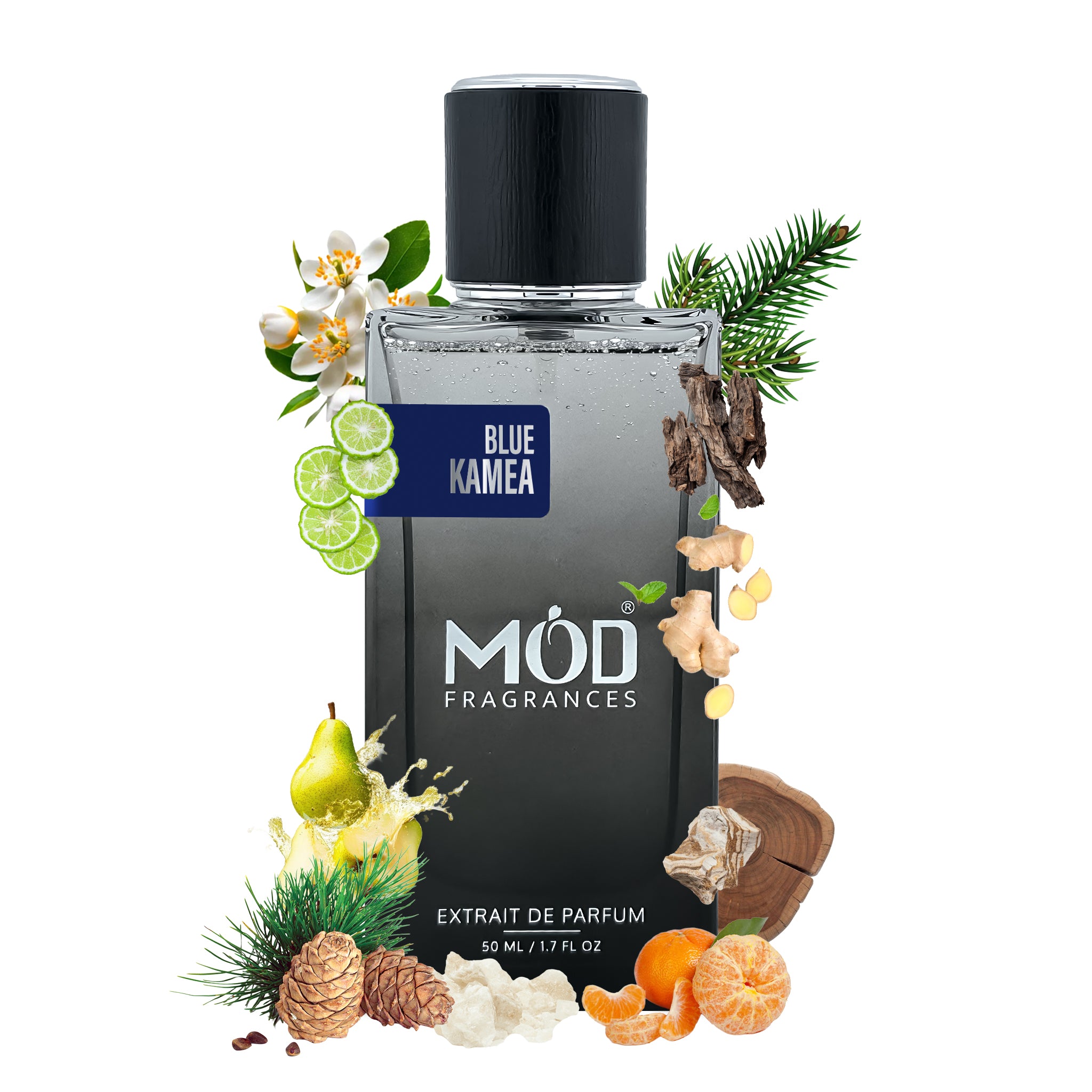 Inspired by Blue Talisman Perfume Dupe  Blue Kamea MOD Fragrances perfume bottle with natural elements on a white background