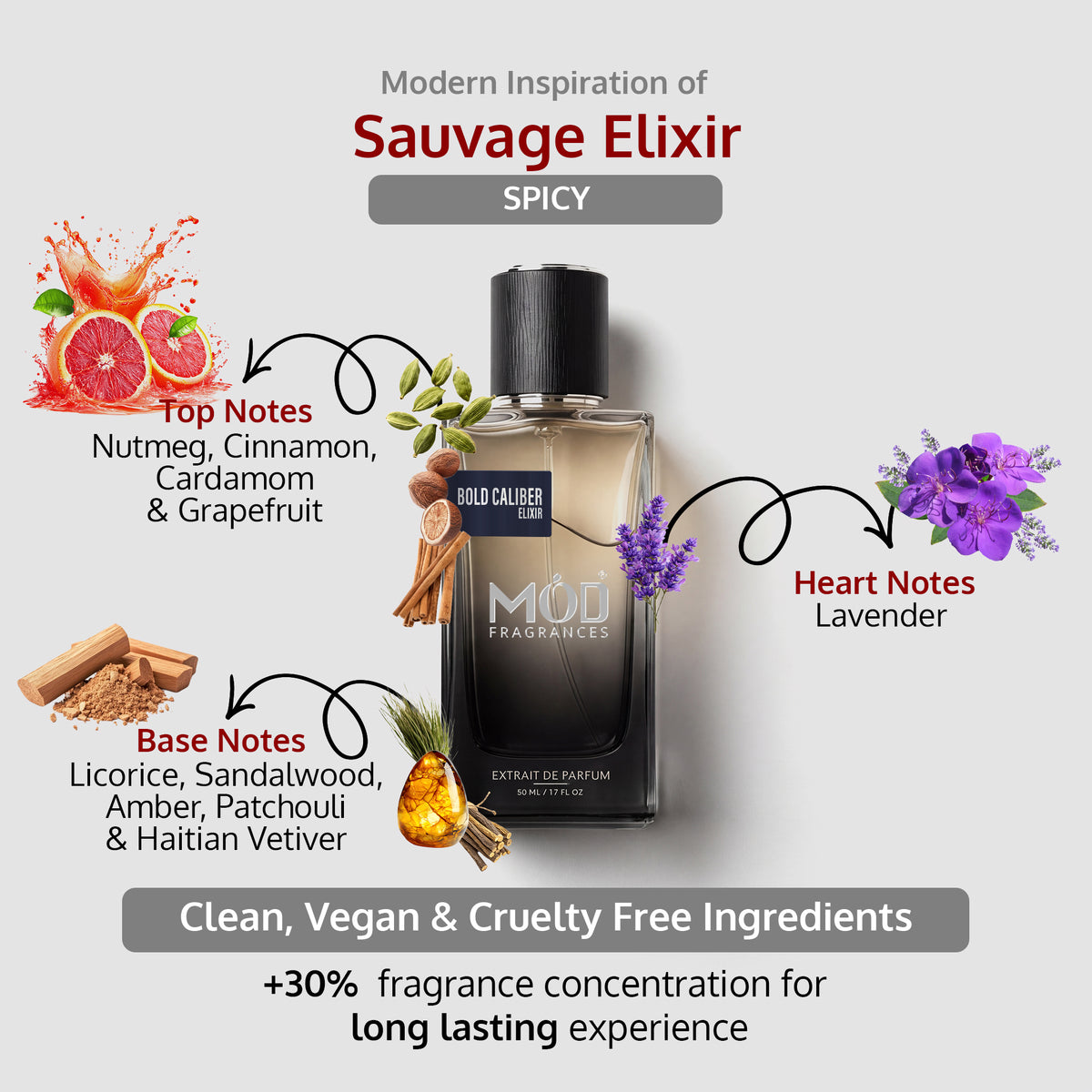 An informational graphic for MOD Fragrances' "Bold Caliber Elixir” displays the bottle in the center, with arrows pointing to the top, heart, and base notes, listing ingredients like Nutmeg, cinnamon, cardamom, grapefruit, lavender, licorice, sandalwood, amber, patchouli and Haitian vetiver, and highlighting its clean, vegan, and cruelty-free composition. Spicy perfume for Men inspired by Sauvage Elixir.
