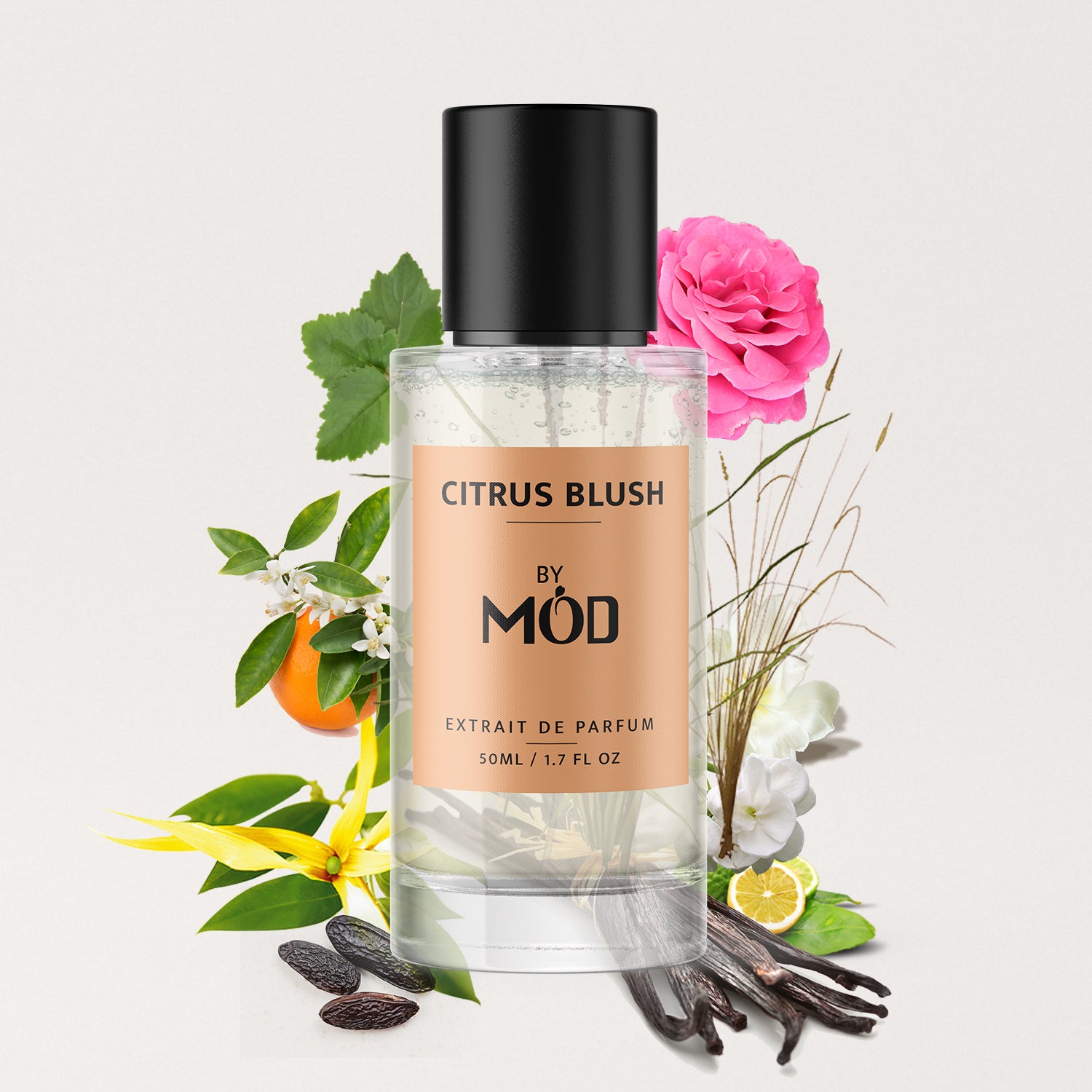 Citrus Blush - Mod Fragrances