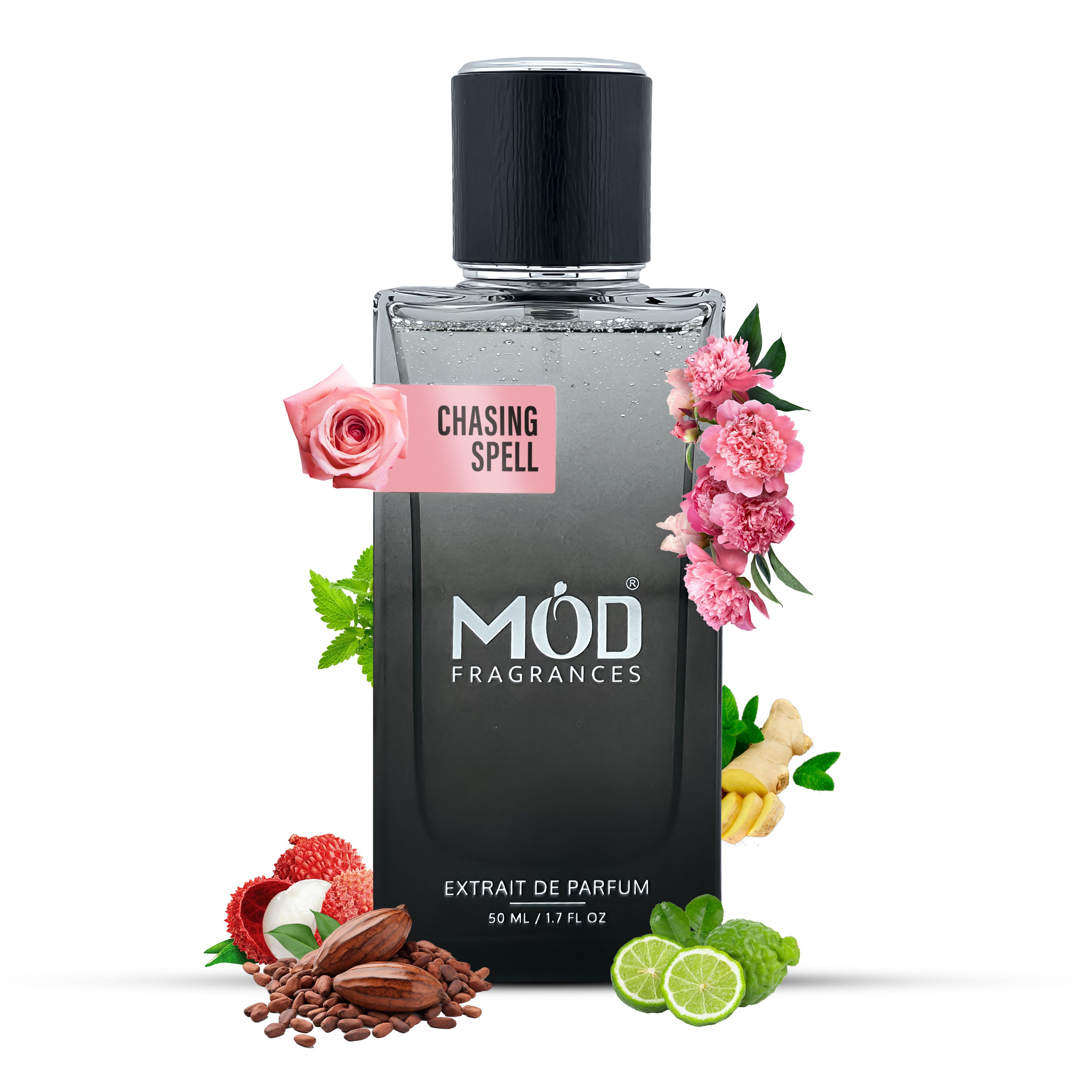Chasing Spell Perfume For Women | Inspired by Attrape-Rêves Dupe | Mod Fragrances Hover Bouquet