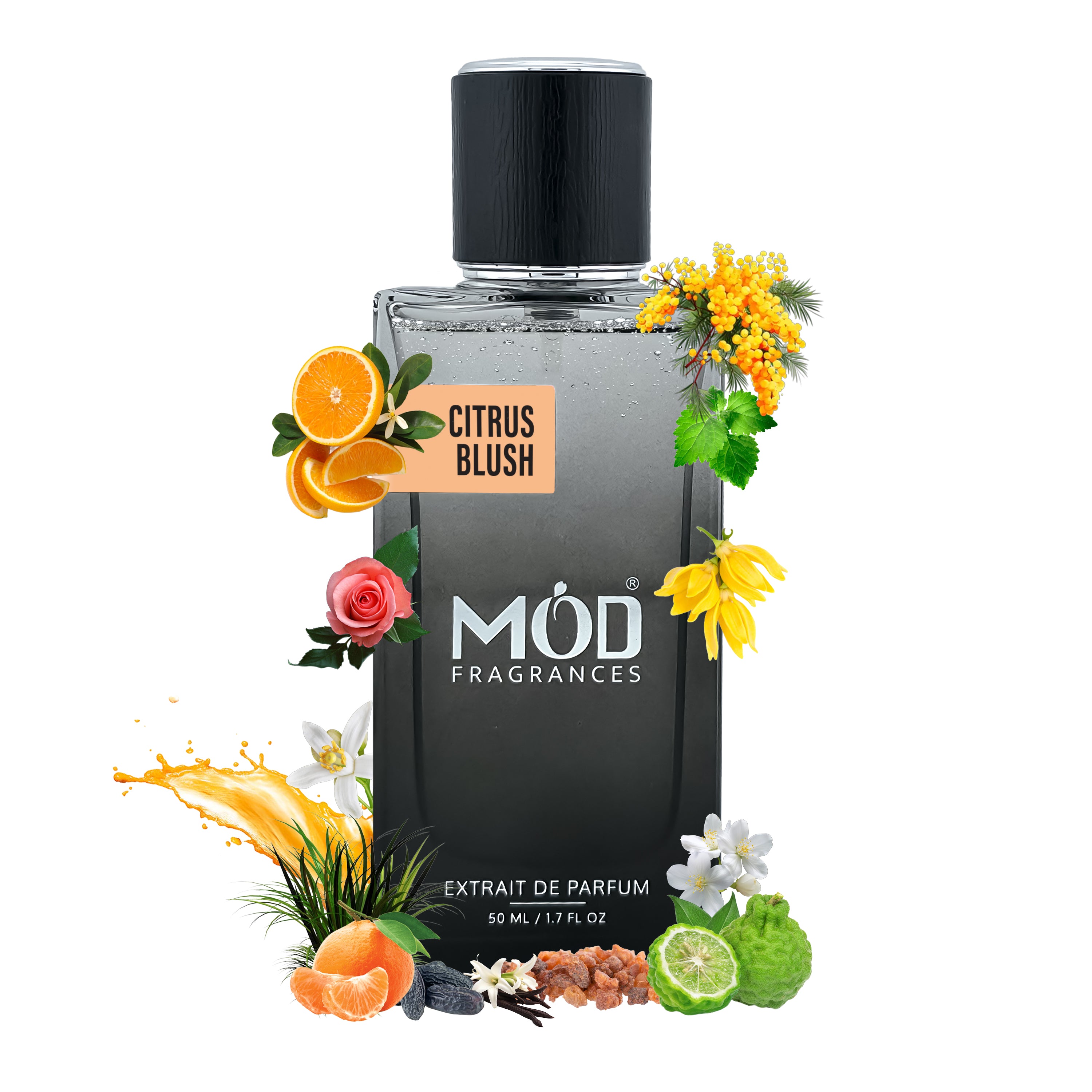 Inspired by Coco Medomoiselle Möd Fragrances Citrus Blush perfume bottle with floral and fruit elements on a white background