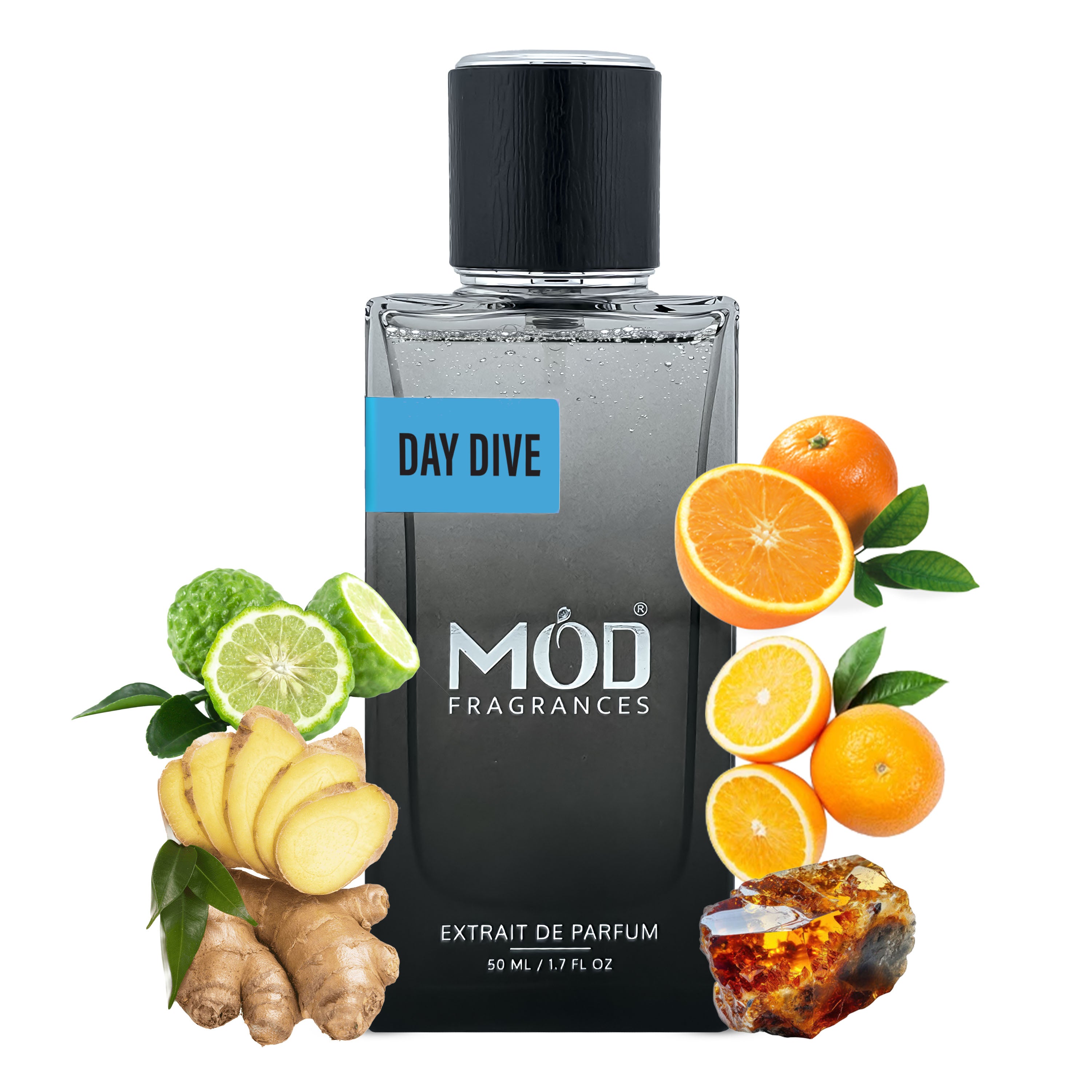 Day Dive by Mod Fragrances - Inspired by Afternoon Swim Hover Notes
