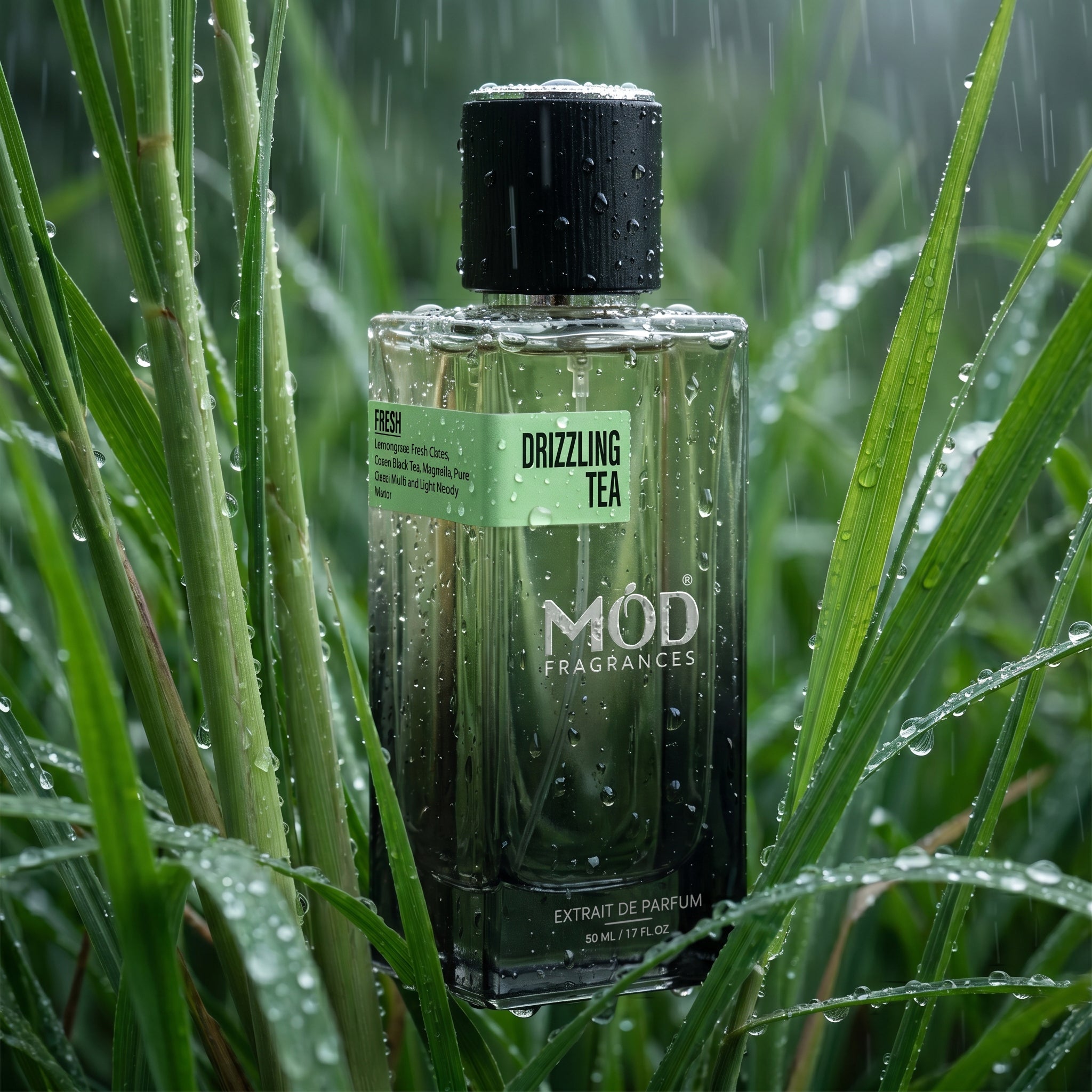MOD Fragrances 50ml perfume bottle of "drizzling Tea" fresh fragrance for him & her, inspired by Rain Tea, placed vertically in lush green lemongrass fields, rain pouring on wet glass of bottle, 