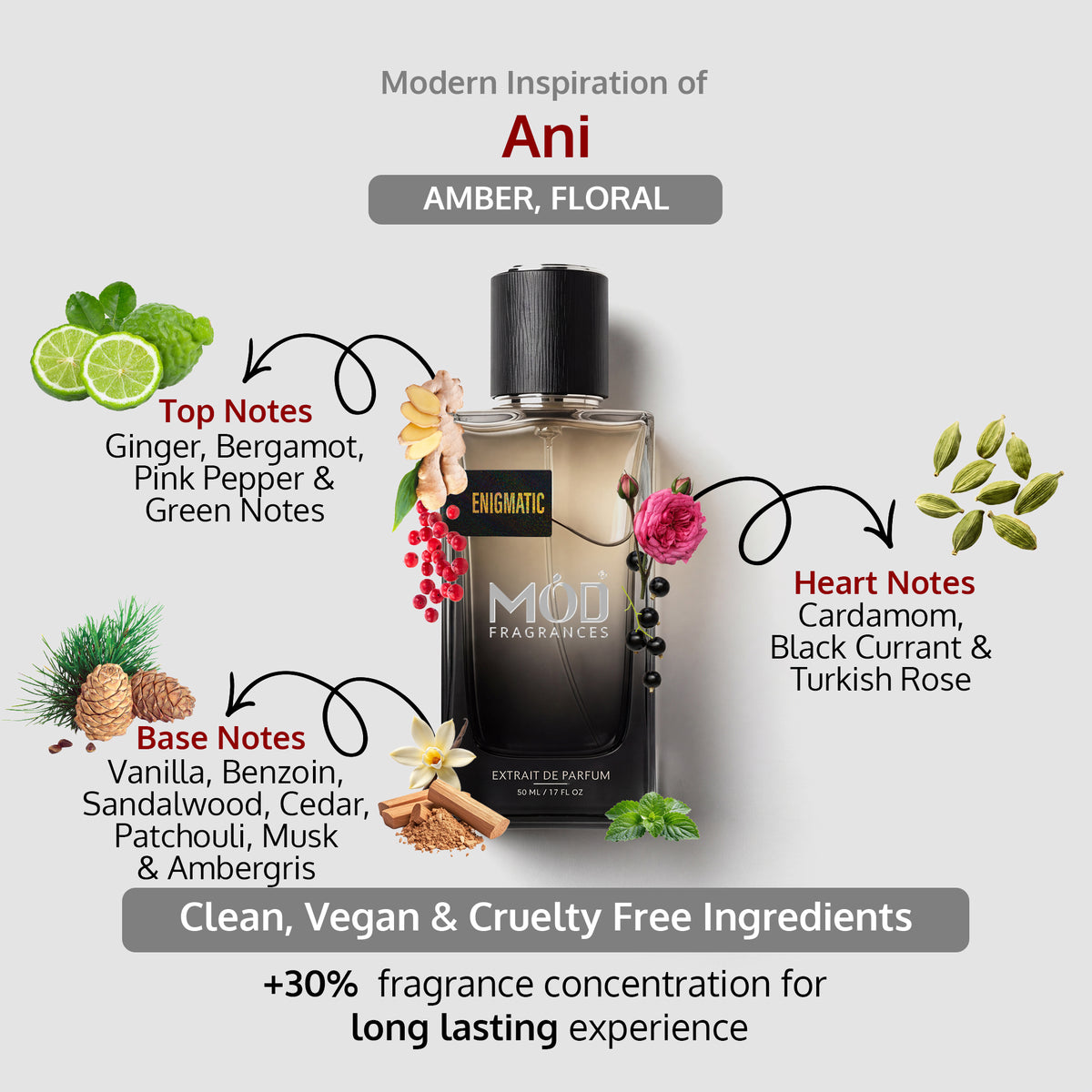 An informational graphic for MOD Fragrances' "Enigmatic” displays the bottle in the center, with arrows pointing to the top, heart, and base notes, listing ingredients like Ginger, Bergamot, Pink Pepper, Green Notes, Cardamom, Black Currant, pink Turkish Rose, Vanilla, Benzoin, Sandalwood, Cedar, Patchouli, Musk and Ambergris., and highlighting its clean, vegan, and cruelty-free composition. Amber-floral-vanilla for unisex inspired by ANI.
