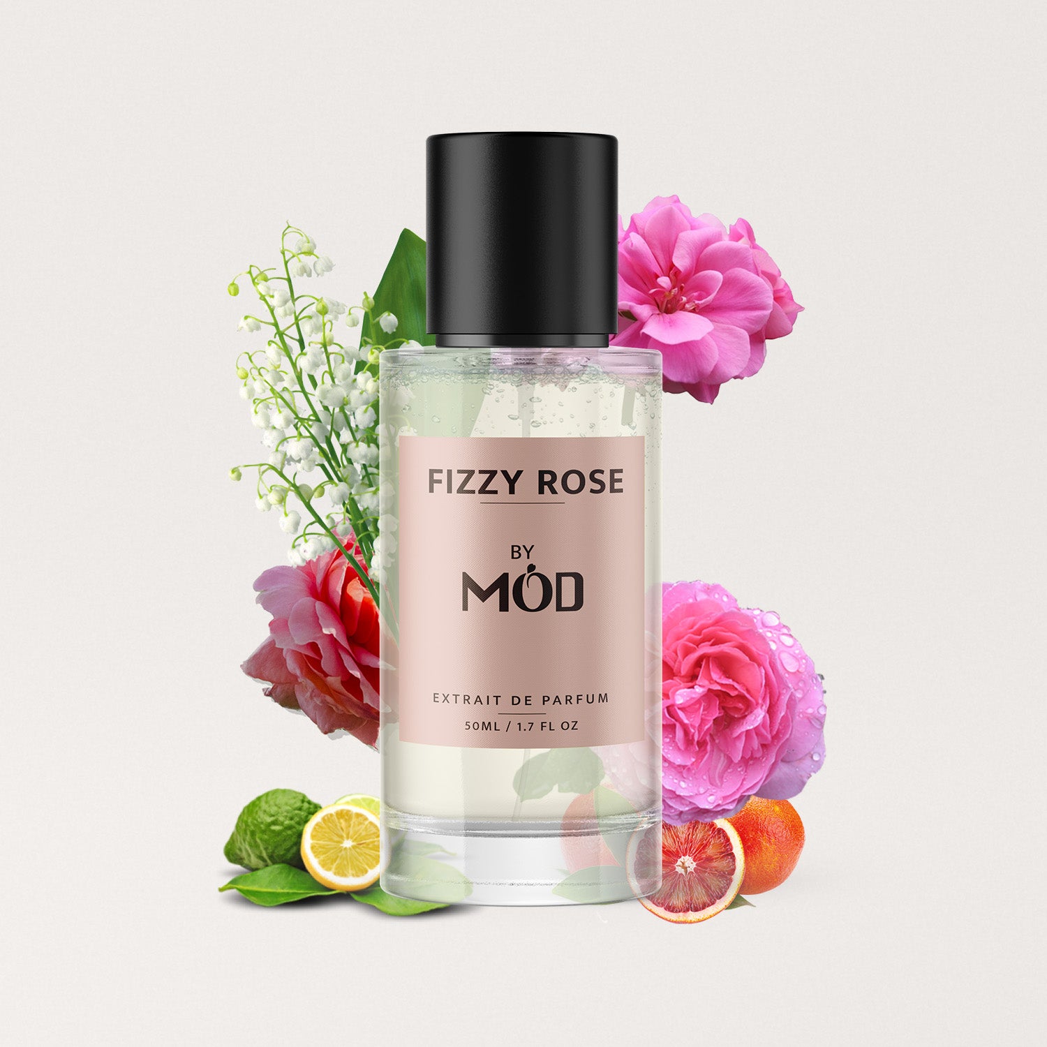 Fizzy Rose - Mod Fragrances