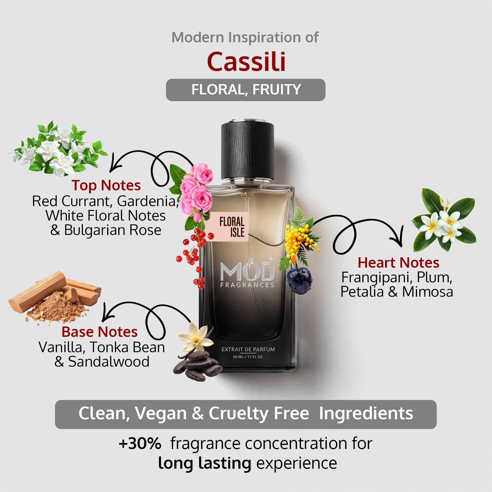 An informational graphic for MOD Fragrances' "Floral Isle” displays the bottle in the center, with arrows pointing to the top, heart, and base notes, listing ingredients like Red Currant, Gardenia White Floral Notes and Bulgarian Rose, Frangipani, Plum, Petalia and Mimosa, Vanilla, Tonka Bean and Sandalwood, and highlighting its clean, vegan, and cruelty-free composition. Floral fruity for women inspired by Cassili.