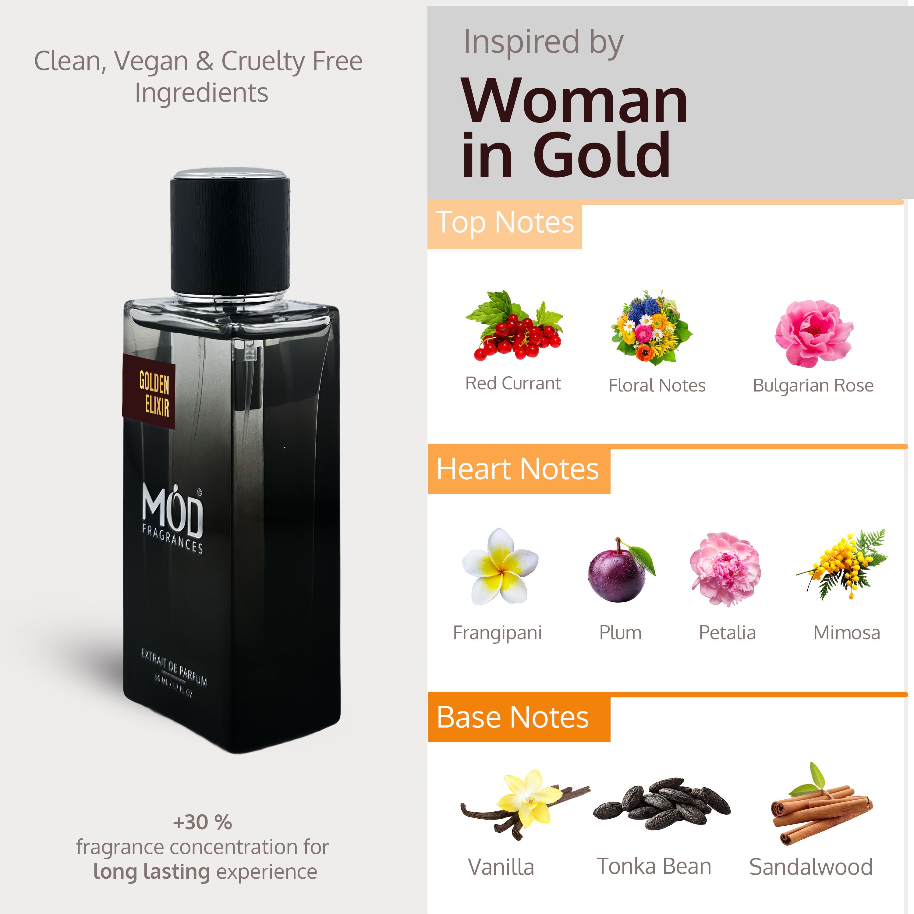 Golden Elixir by Mod Fragrances Inspired by Women in Gold Perfume Dupe Notes