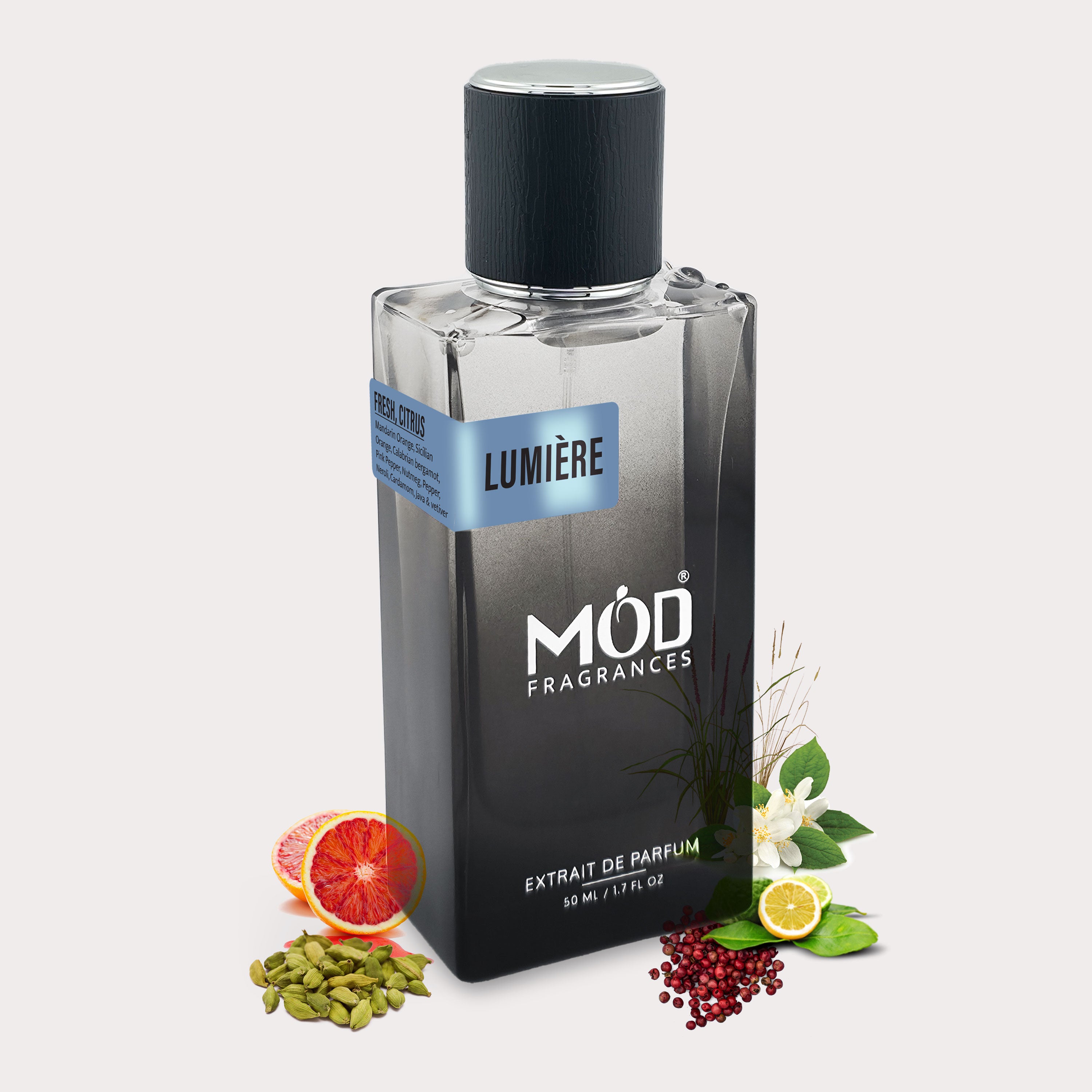Mod Fragrances Lumère perfume bottle with botanical elements on a light gray background