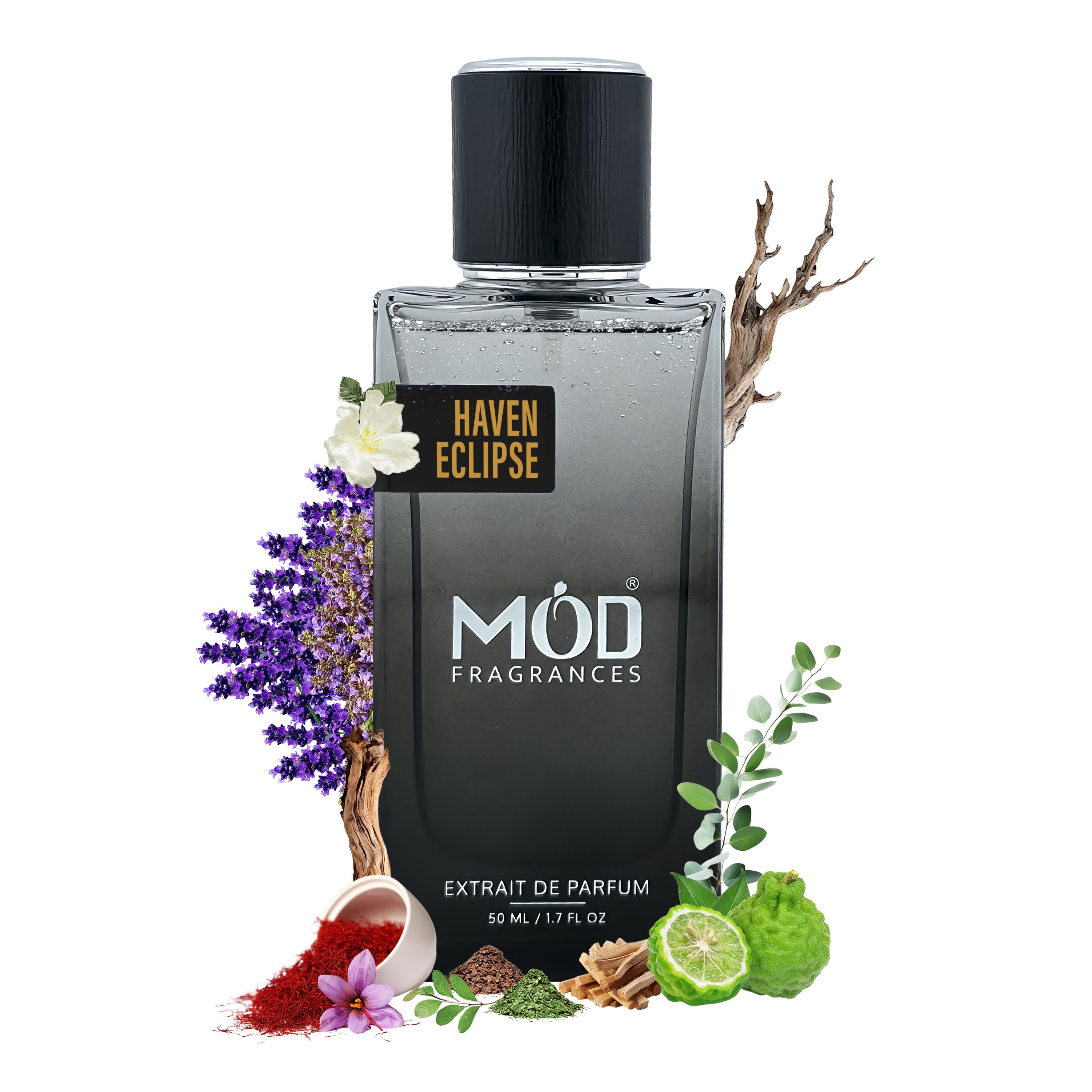 Perfume bottle labeled 'Haven Eclipse' by Möd Fragrances with floral and natural elements on a white background Torino 22 Dupe
