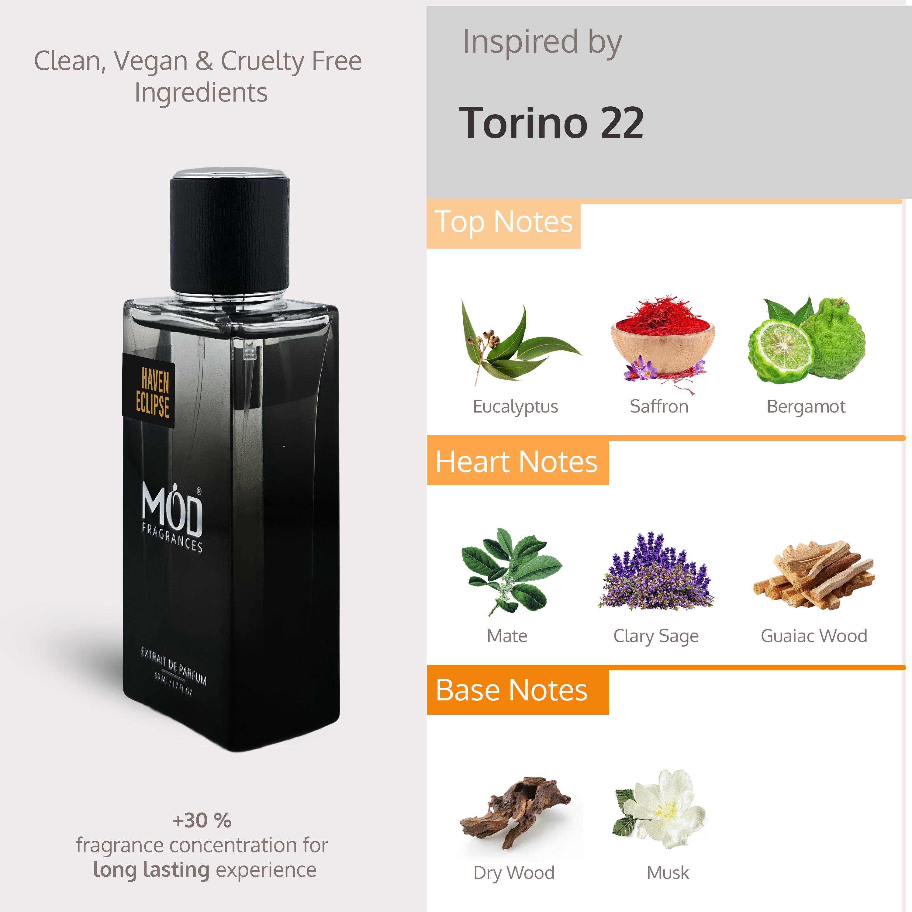 Black perfume bottle with ingredient information on a gray background Torino 22 Dupe