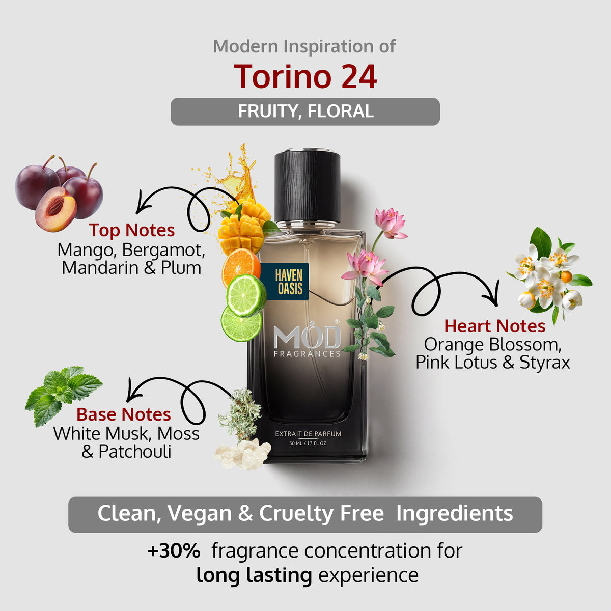 A fragrance bottle labeled Haven Oasis Torino 24 centered on a light gray background, surrounded by illustrated scent notes and text describing fruity, floral, and base ingredients. The bottle is dark amber-brown glass with a black cap and a black-to-brown gradient label.