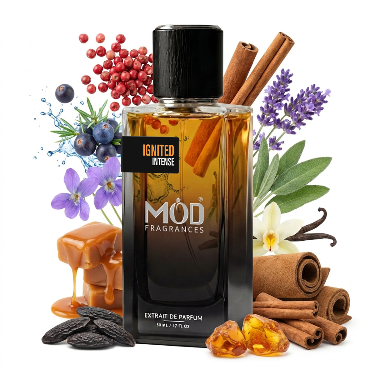 A bottle of MOD Fragrances 'Ignited Intense' extrait de parfum, styled with its scent notes including cinnamon sticks, blueberries, purple flowers, vanilla, amber, and honey on a white background.