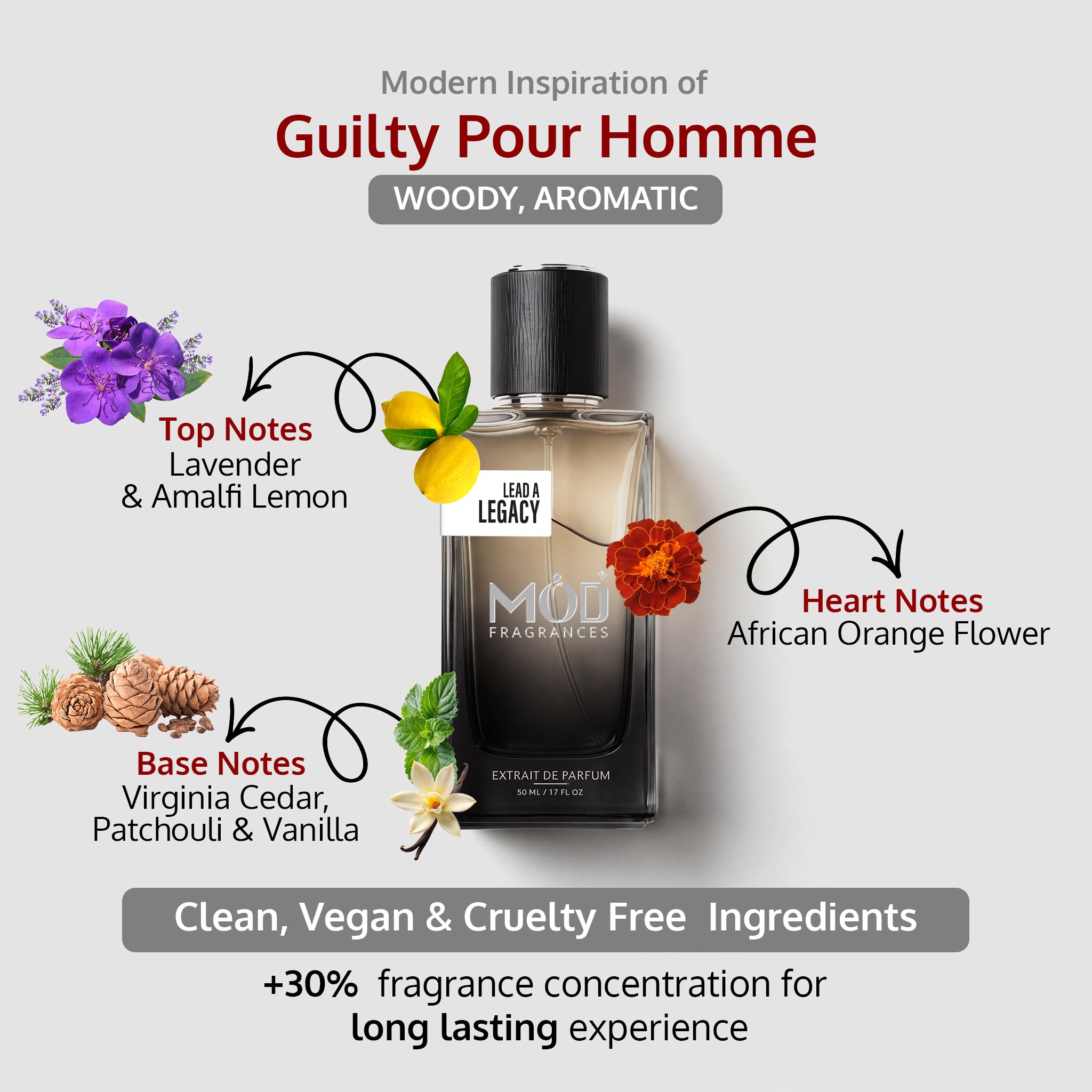An informational graphic for MOD Fragrances' "Lead A Legacy" displays the bottle in the center, with arrows pointing to the top, heart, and base notes, listing ingredients like citrus, Amalfi lemon, lavender, African orange flower, Virginia cedar, patchouli and vanilla, and highlighting its clean, vegan, and cruelty-free composition.