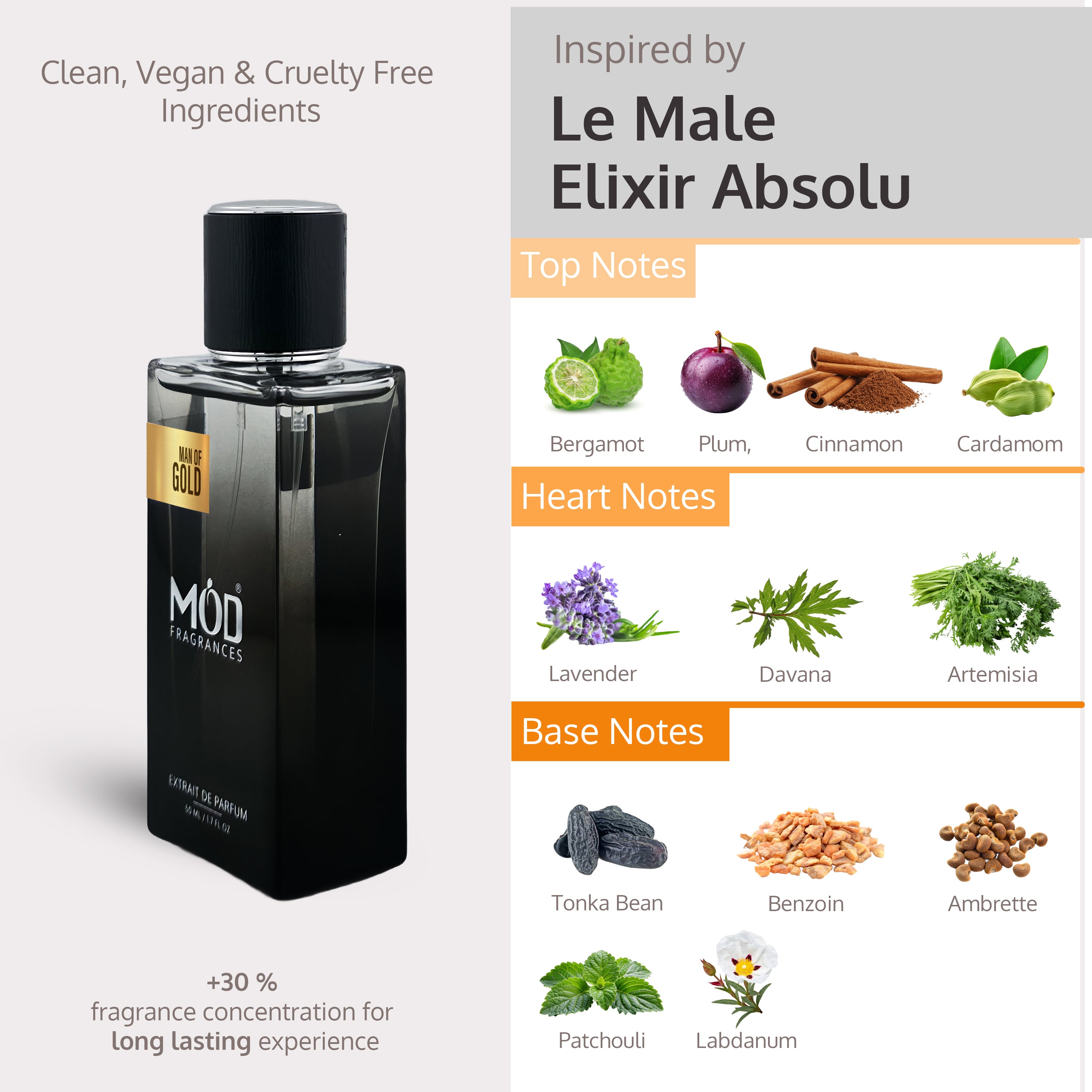 Inspired by Le Male Elixir Absolu Perfume Dupe -  Perfume bottle with ingredient labels on a white background