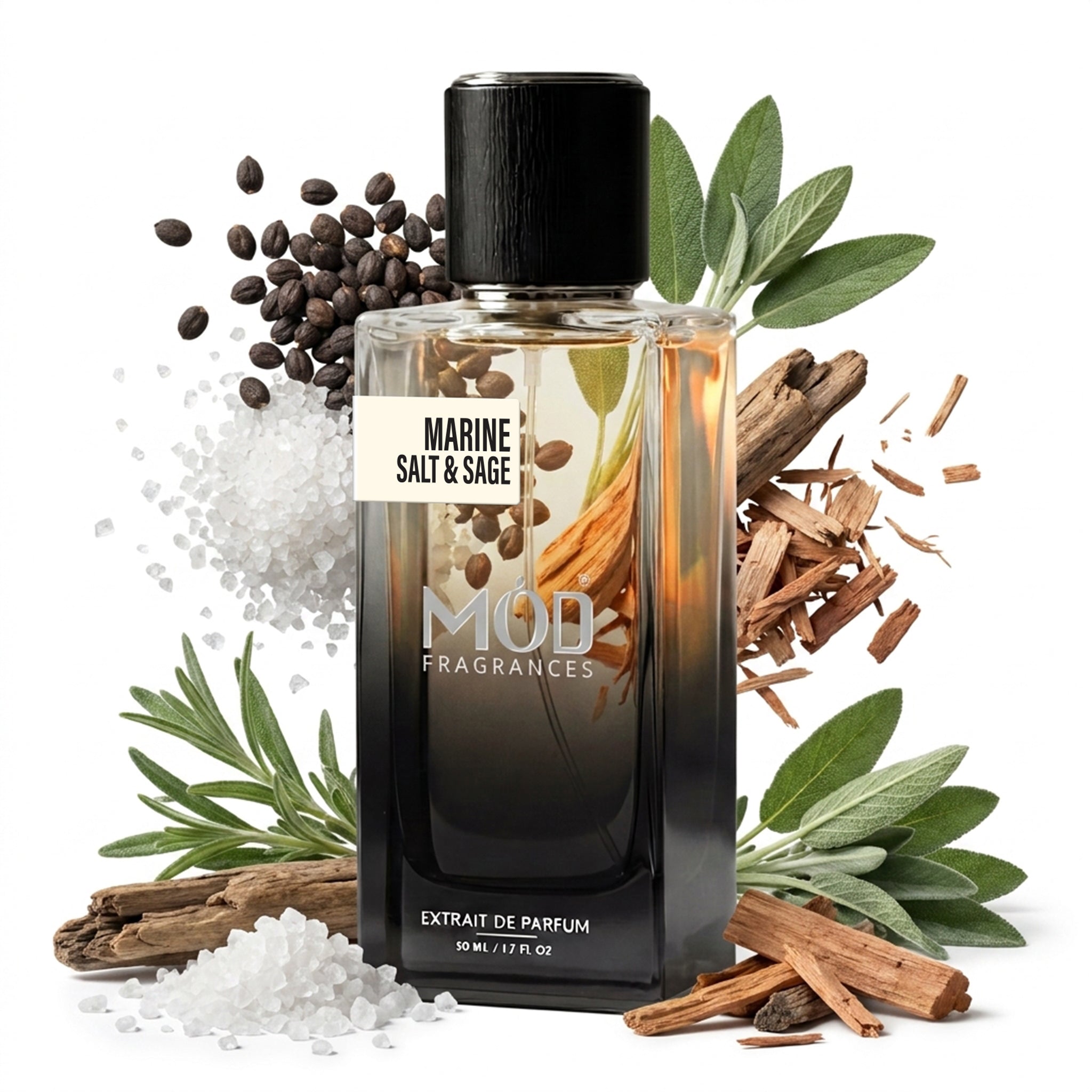 A bottle of MOD Fragrances Marine Salt & Sage extrait de parfum, styled with sea salt, coffee beans, cinnamon sticks, and sage leaves on a white background.