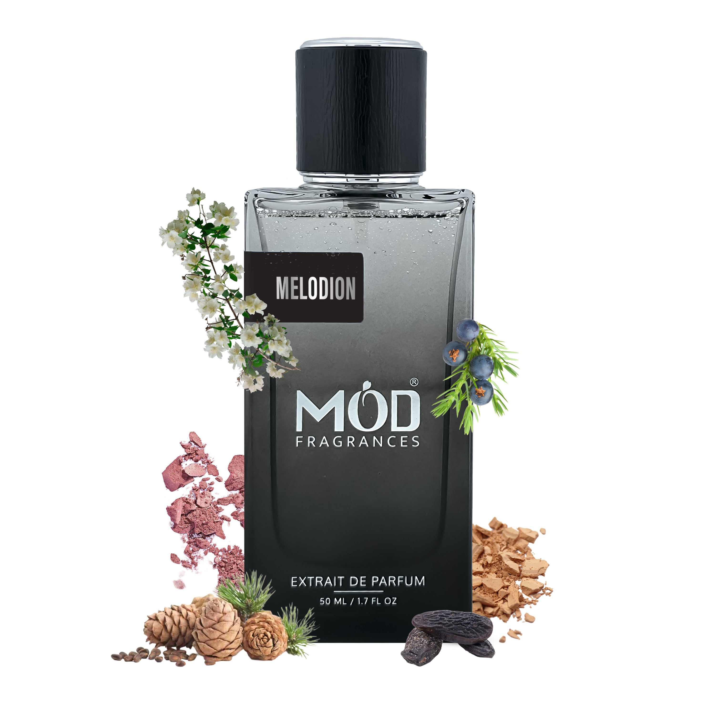 Black perfume bottle labeled 'Melodion MOD Fragrances' with floral and natural elements on a white background  Inspired by Diptique Orpheon