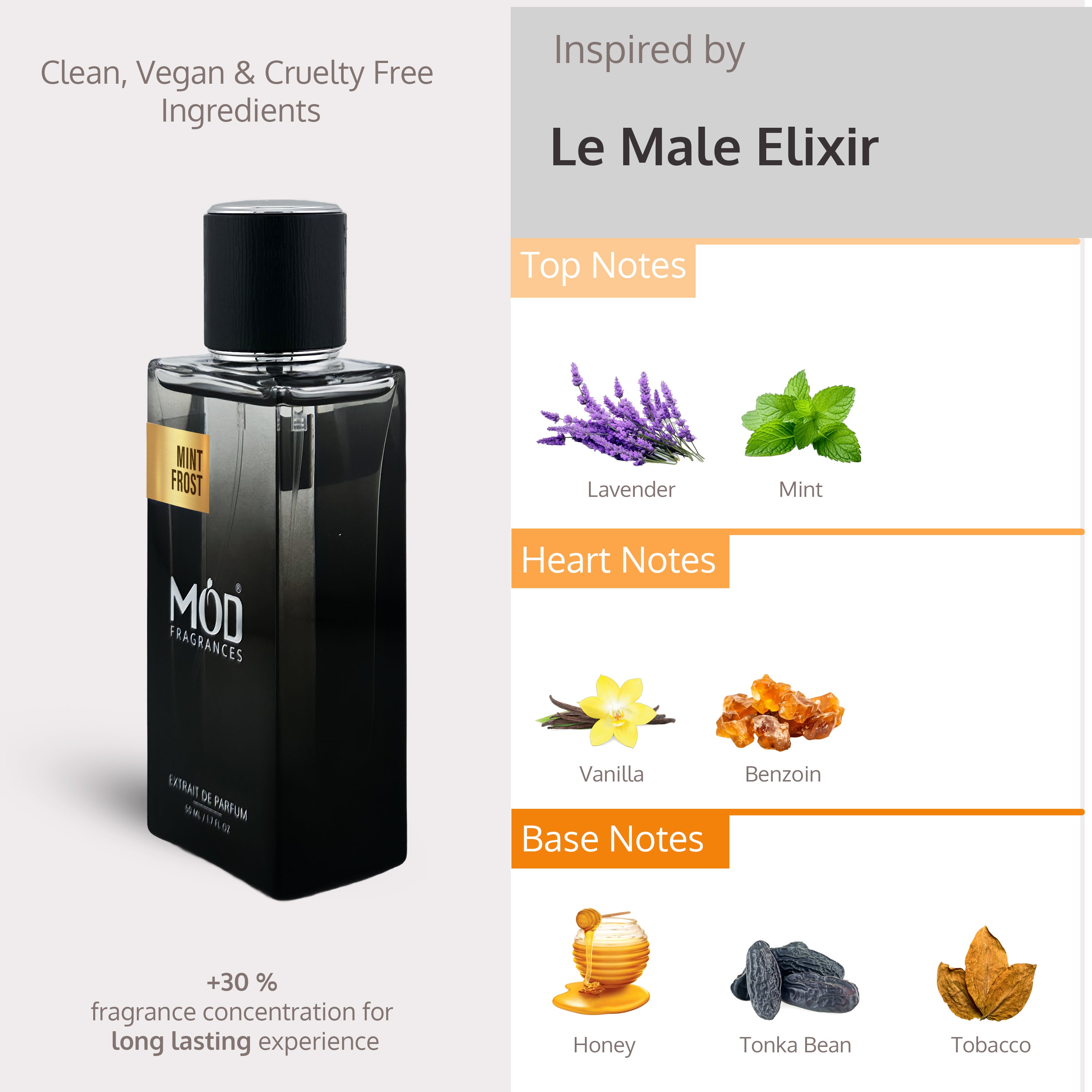 Inspired by Le Male elixir Black perfume bottle with product details on a gray background