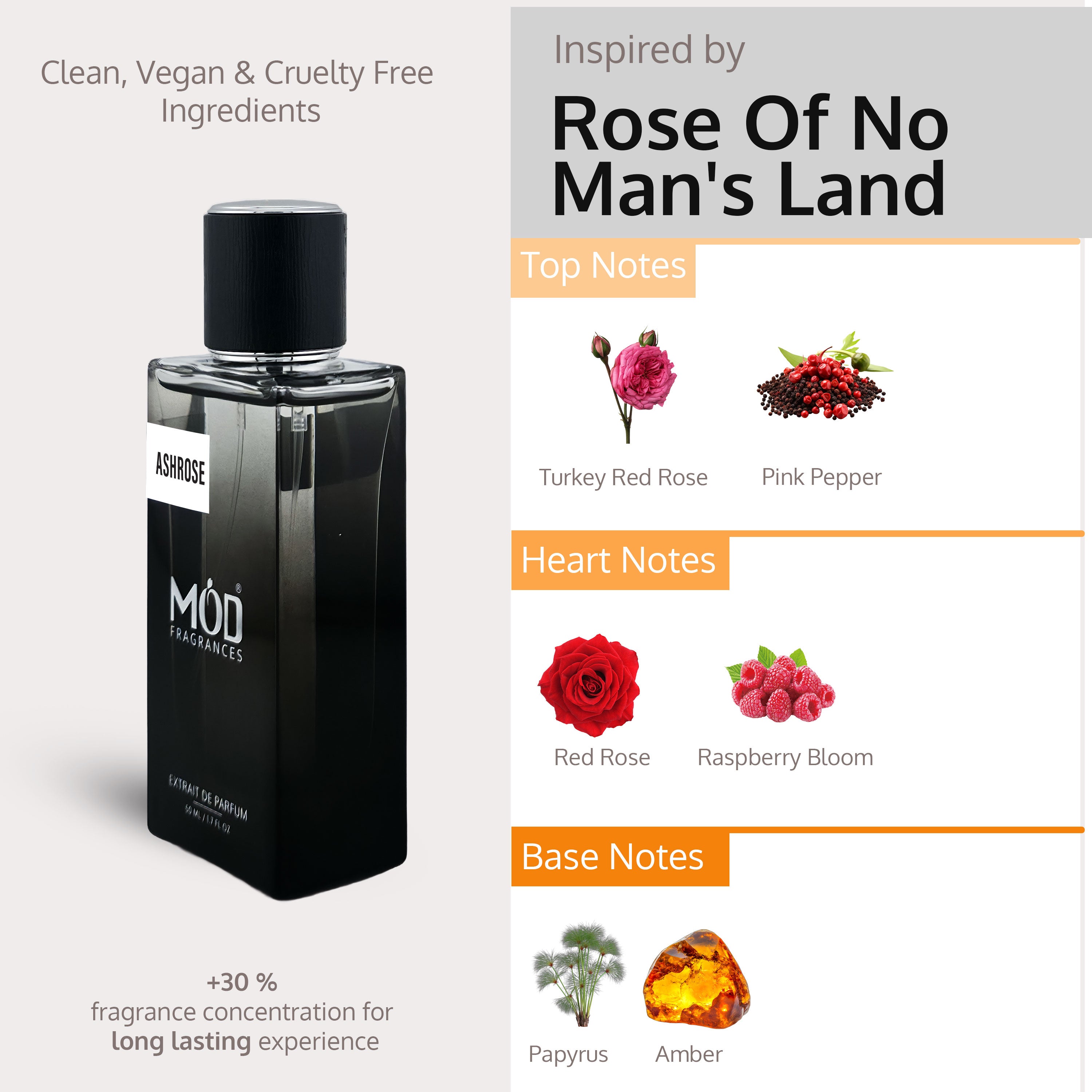 Ashrose - Mod Fragrances