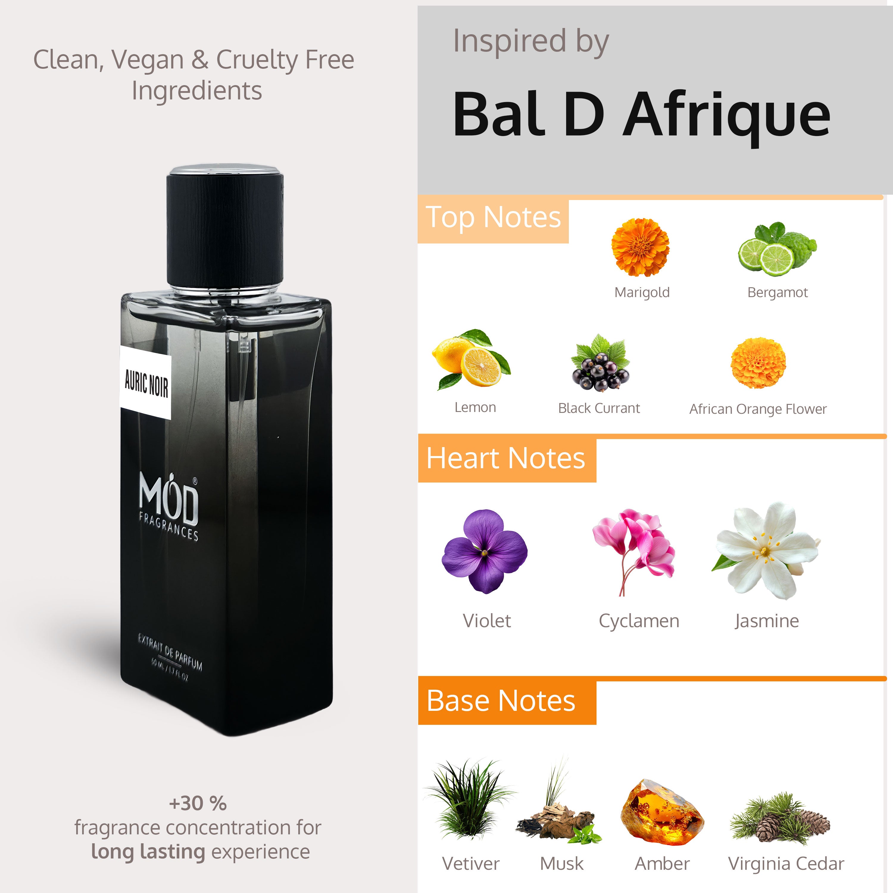 Auric Noir By Mod Fragrance - Bal D Afrique Dupe - Inspired Perfume Notes