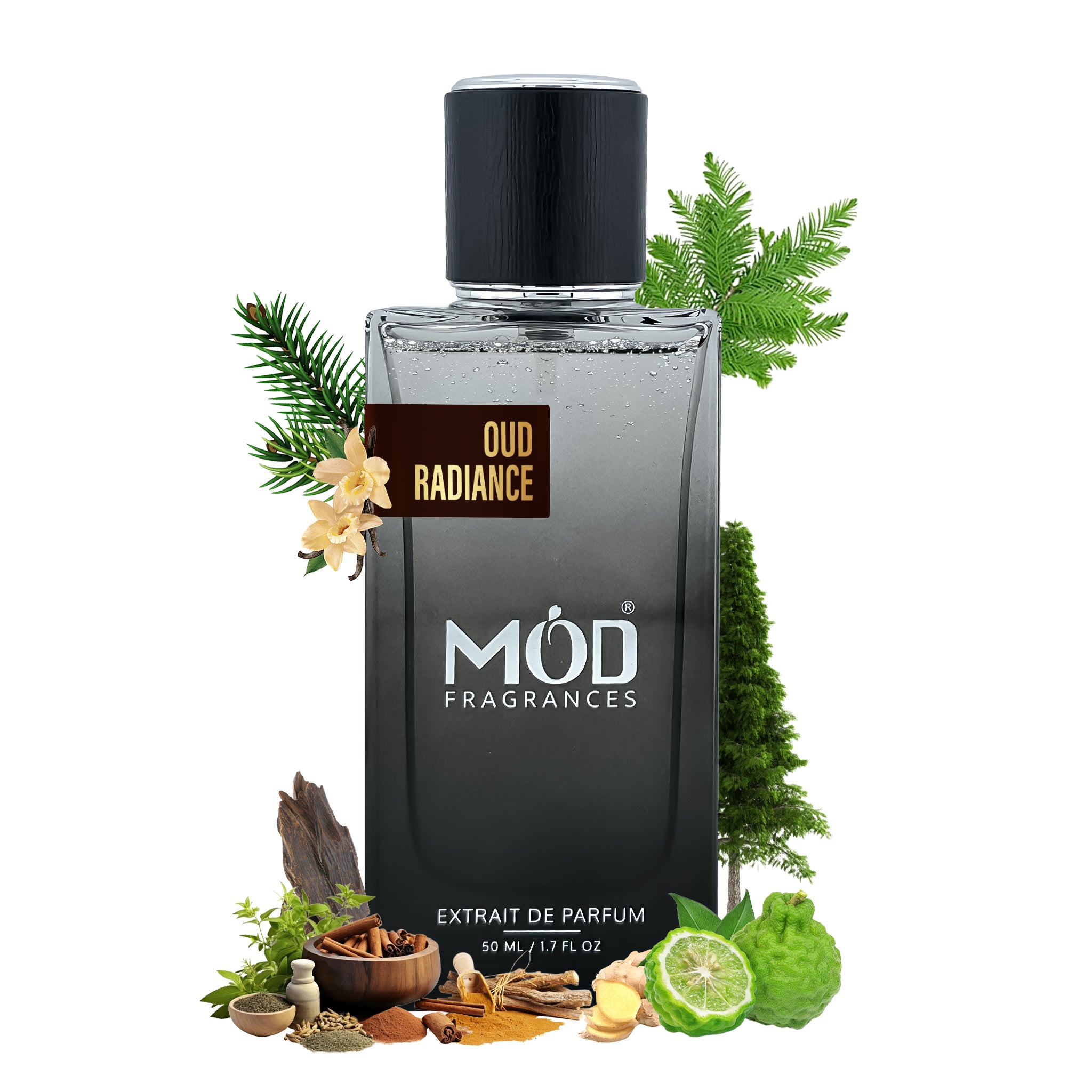 Inspired by Oud For Happiness  Perfume bottle labeled 'Oud Radiance' by MOD Fragrances with botanical elements on a white background