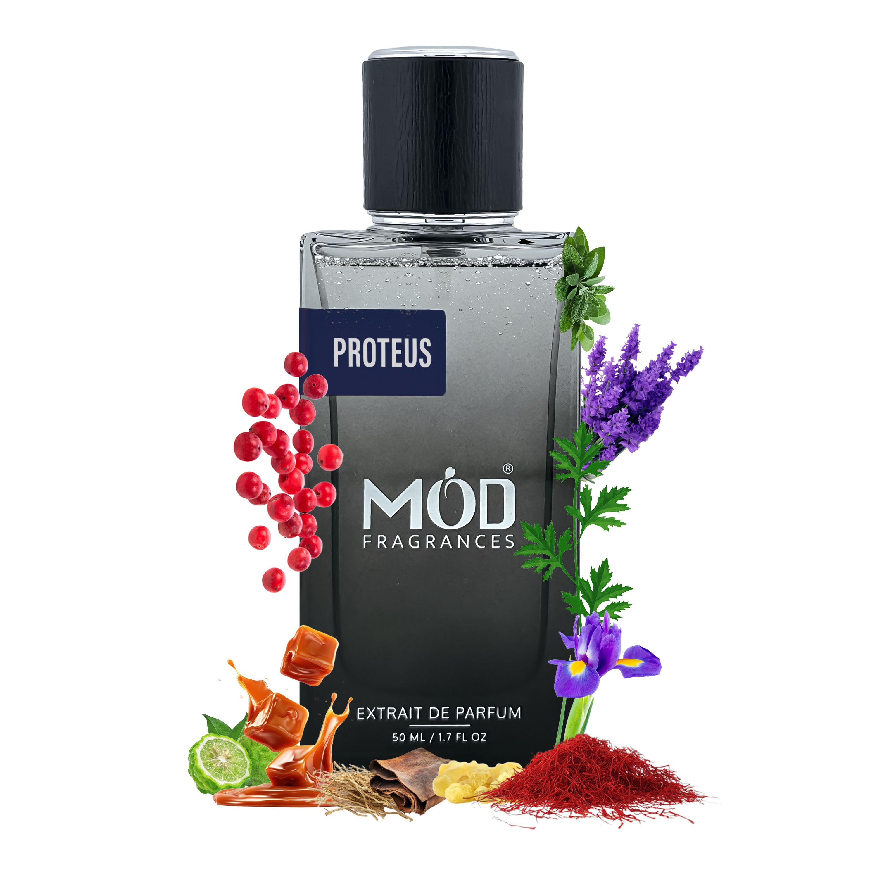 Proteus Mod Fragrances perfume bottle with floral and spice elements on a white background