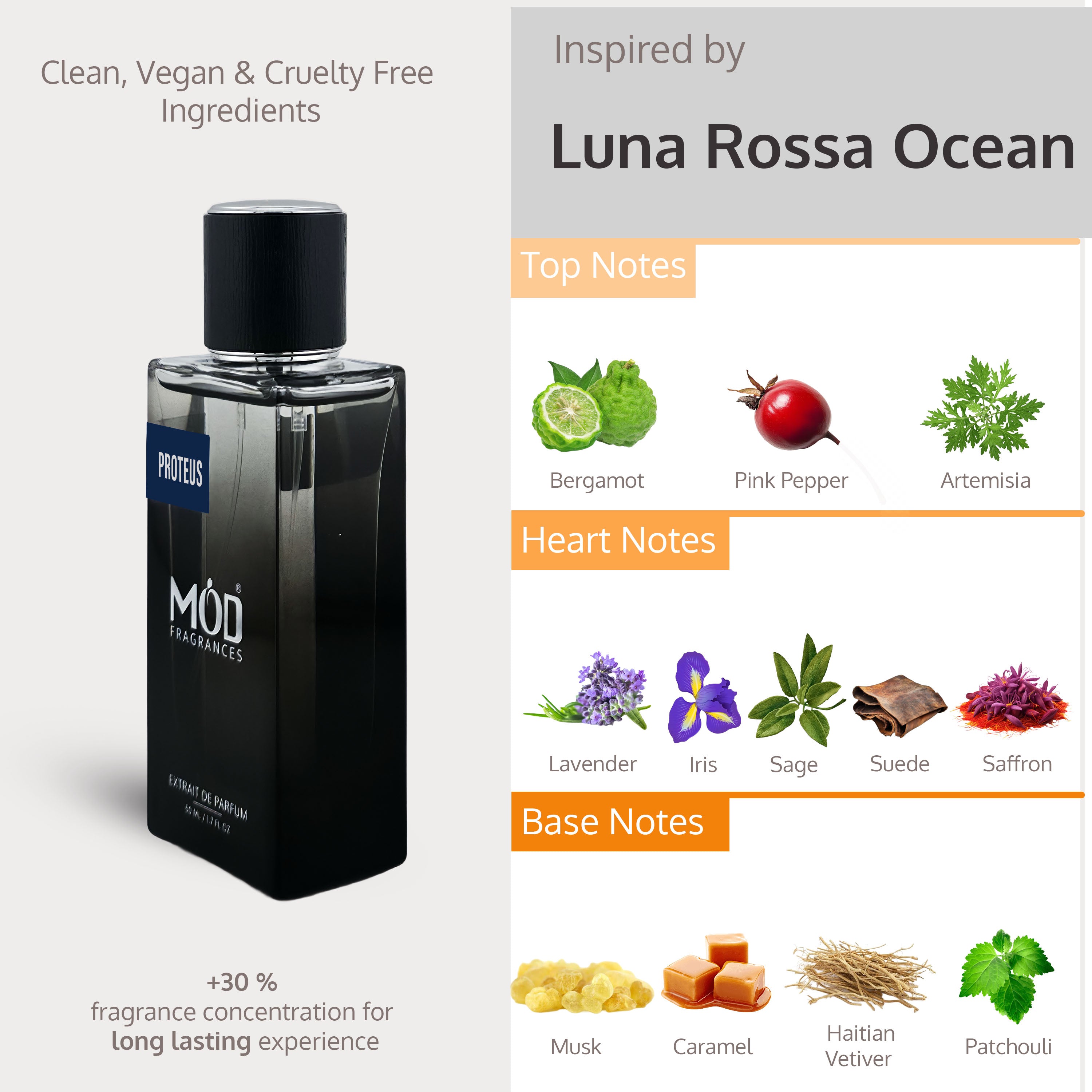 Black perfume bottle with product details and ingredient information on a white background