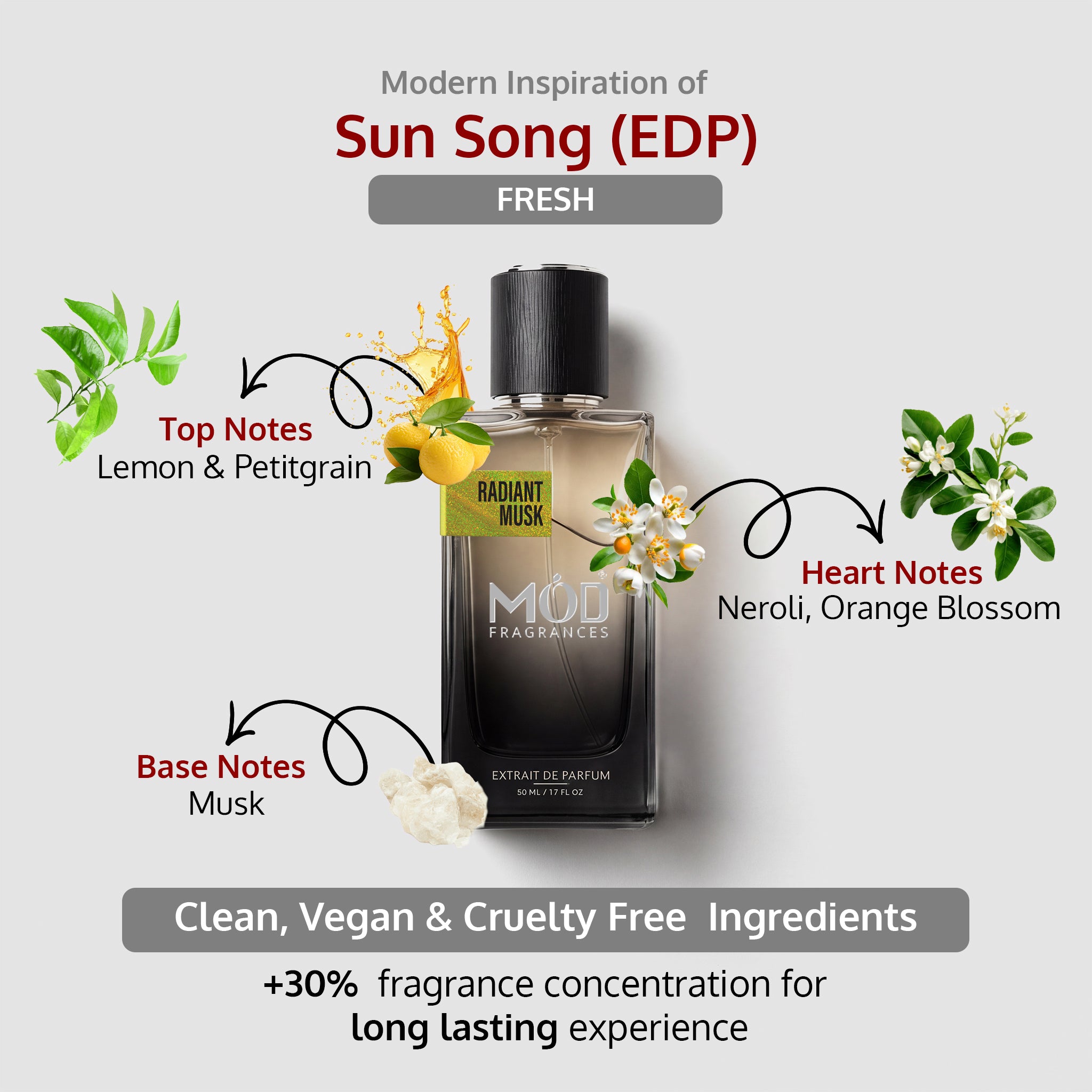 Radiant Musk - Mod Fragrances