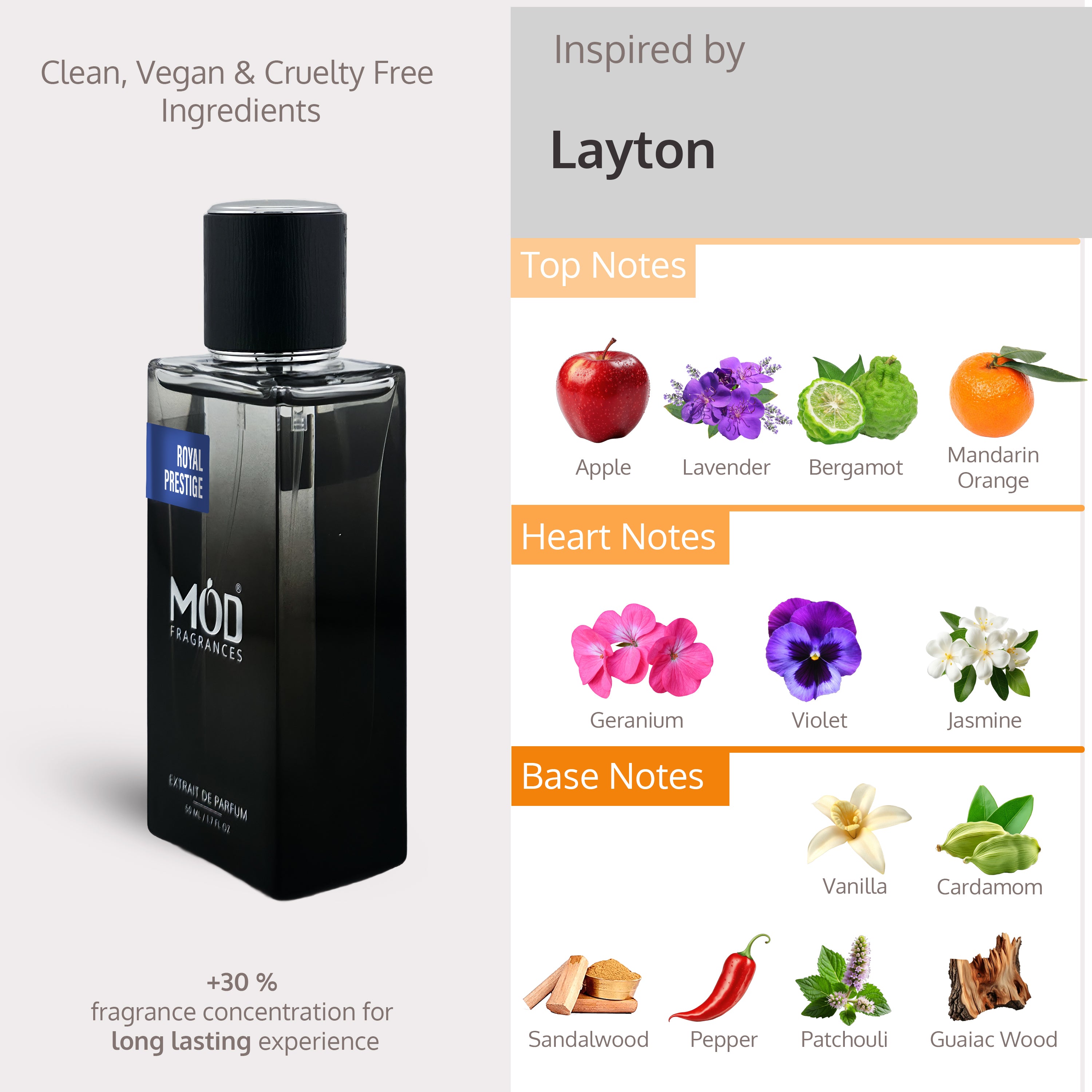 Layton Dupe Perfume bottle with flavor notes displayed on a gray background