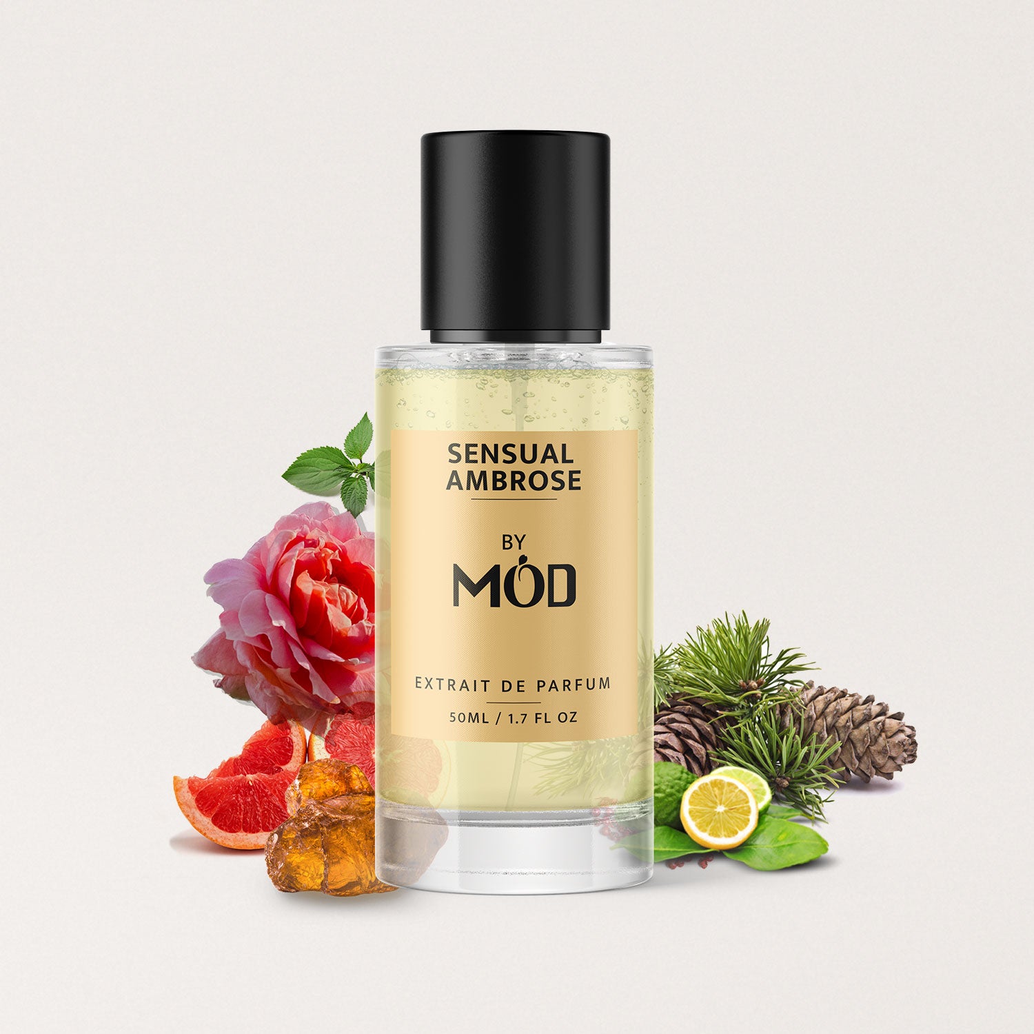 Sensual Ambrose - Mod Fragrances