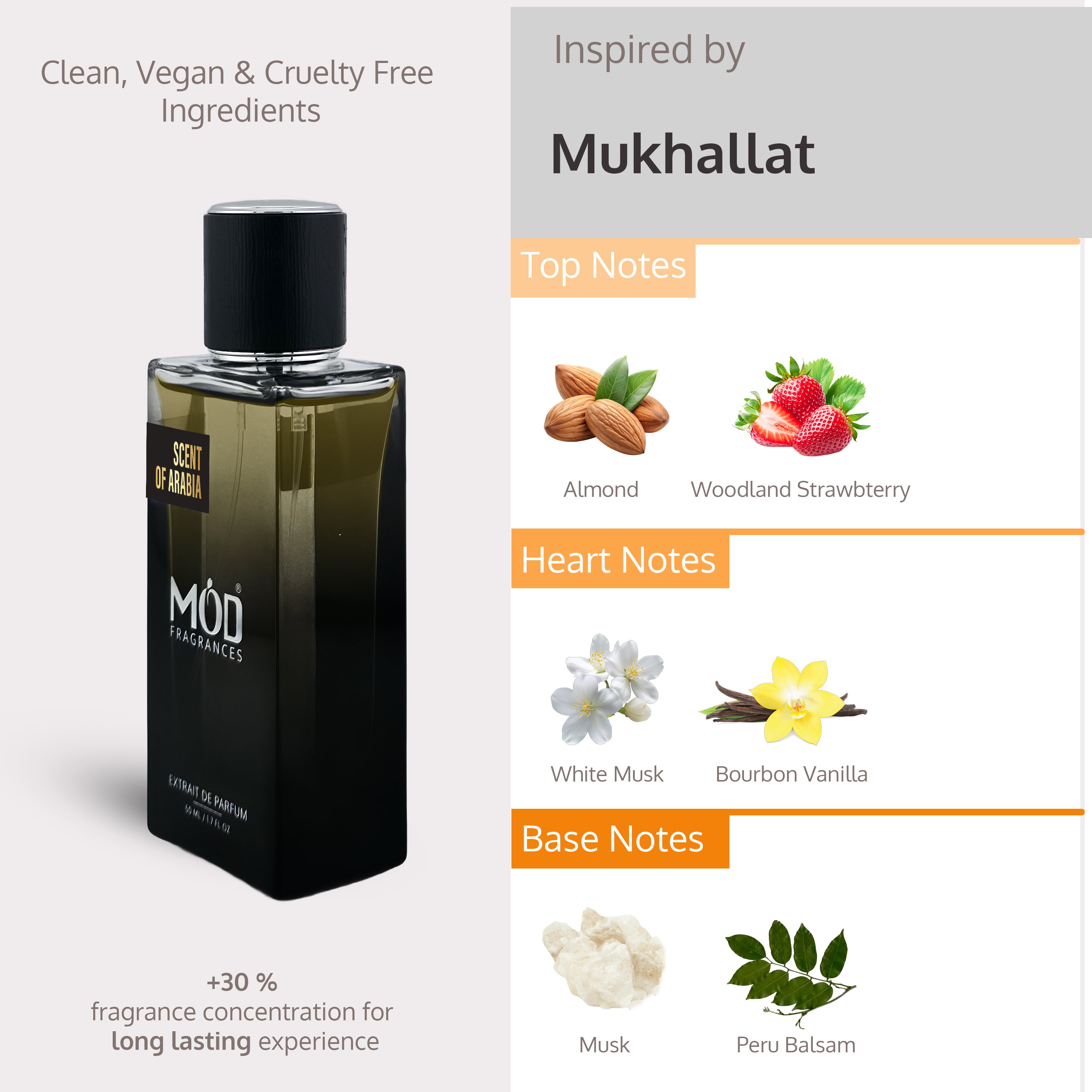 Scent of Arabia - Mod Fragrances