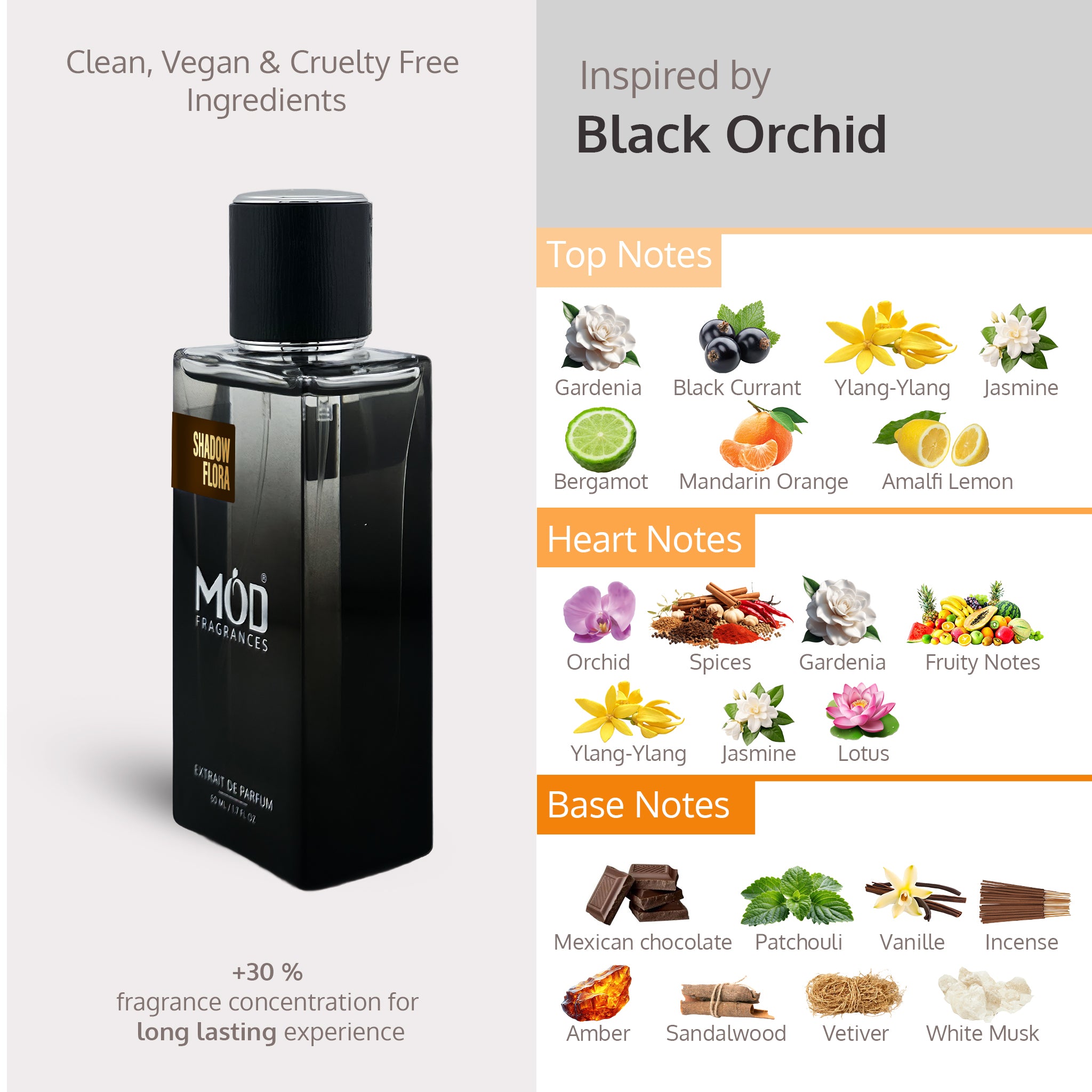 Black perfume bottle with fragrance notes on a gray background