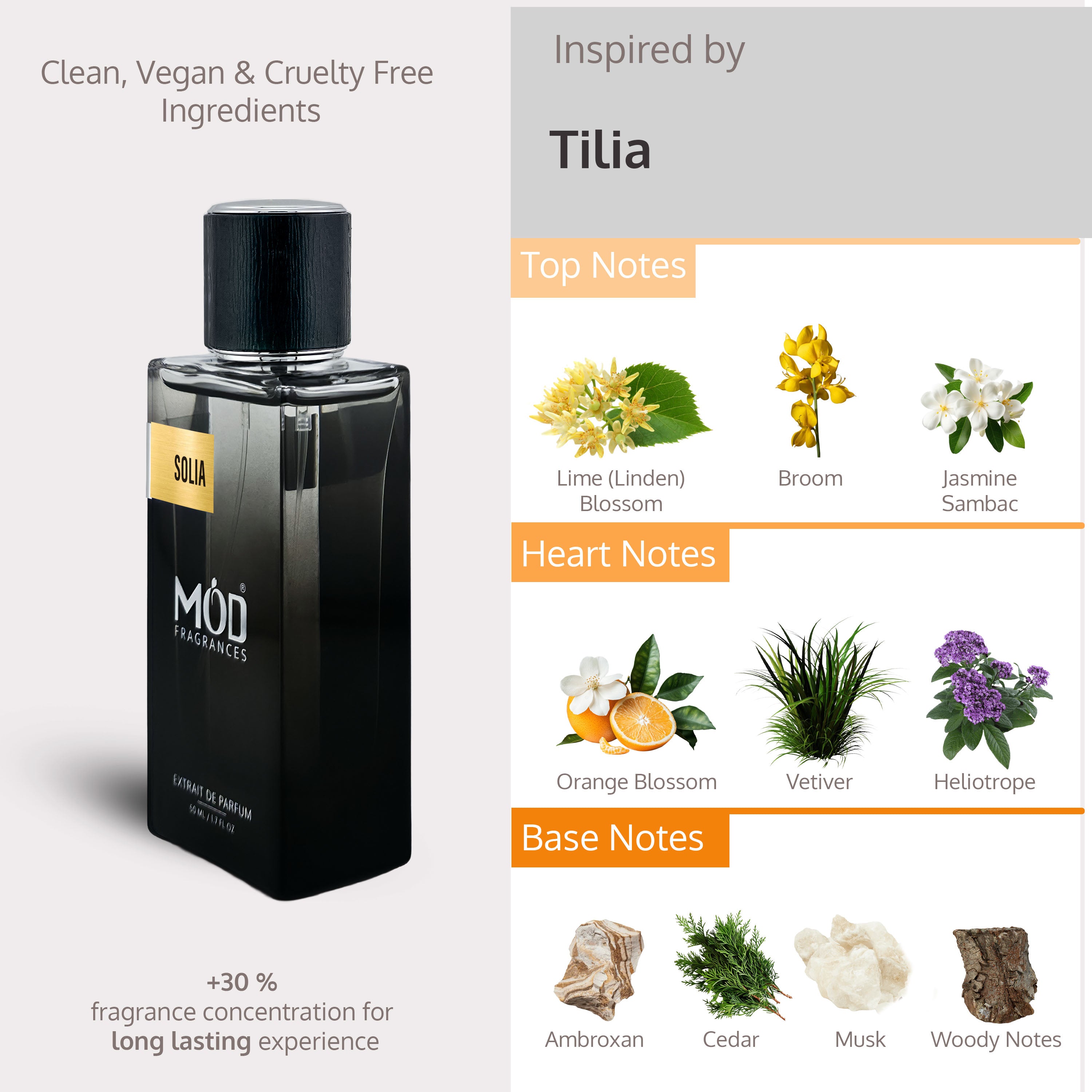 Inspired by Tilia Perfume Dupe. Solia by Mod Fragrances. Black Perfume Bottle. Perfume Notes
