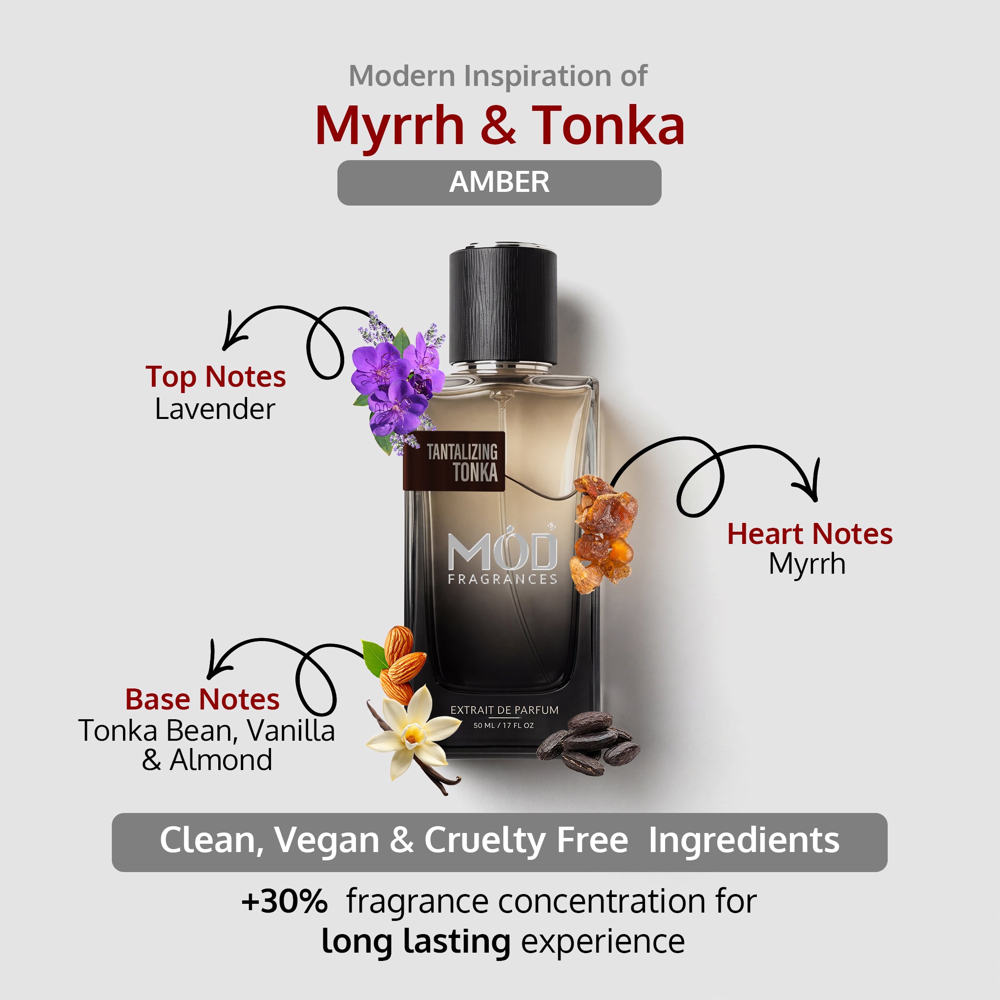 Tantalizing Tonka Perfume Dupe bottle inspired by Myrrh and tonka top middle and base notes