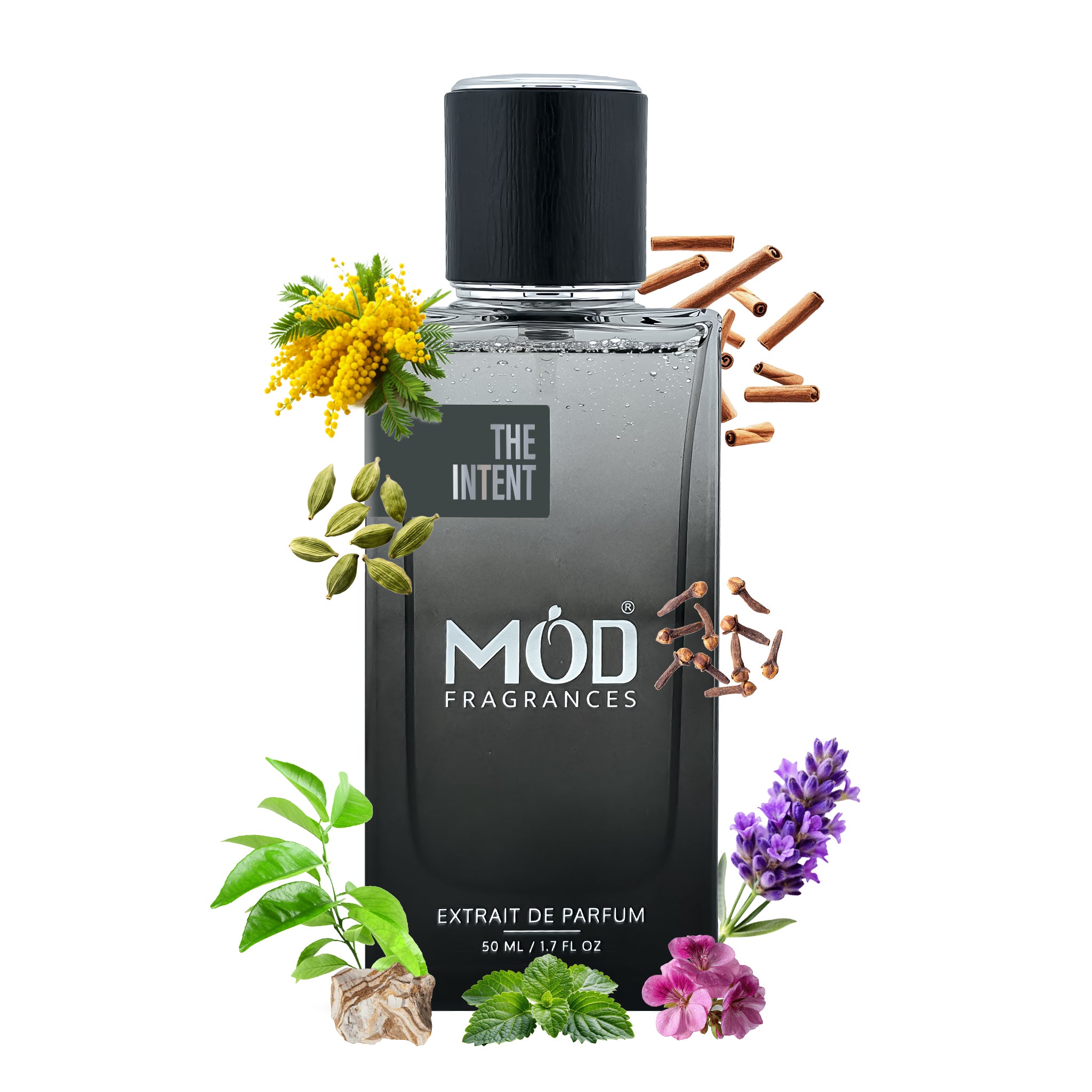 The Intent perfume bottle sitting next to its elegant Mod Fragrances