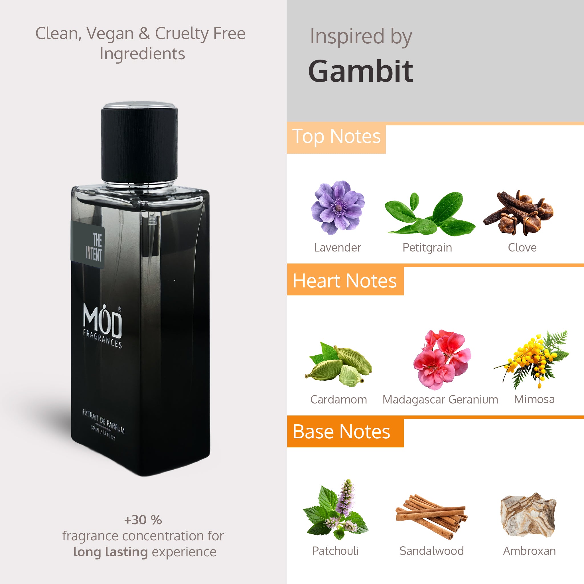 Visual breakdown of The Intent Extrait De Parfum fragrance notes, featuring lavender, cardamom, patchouli, and sandalwood.