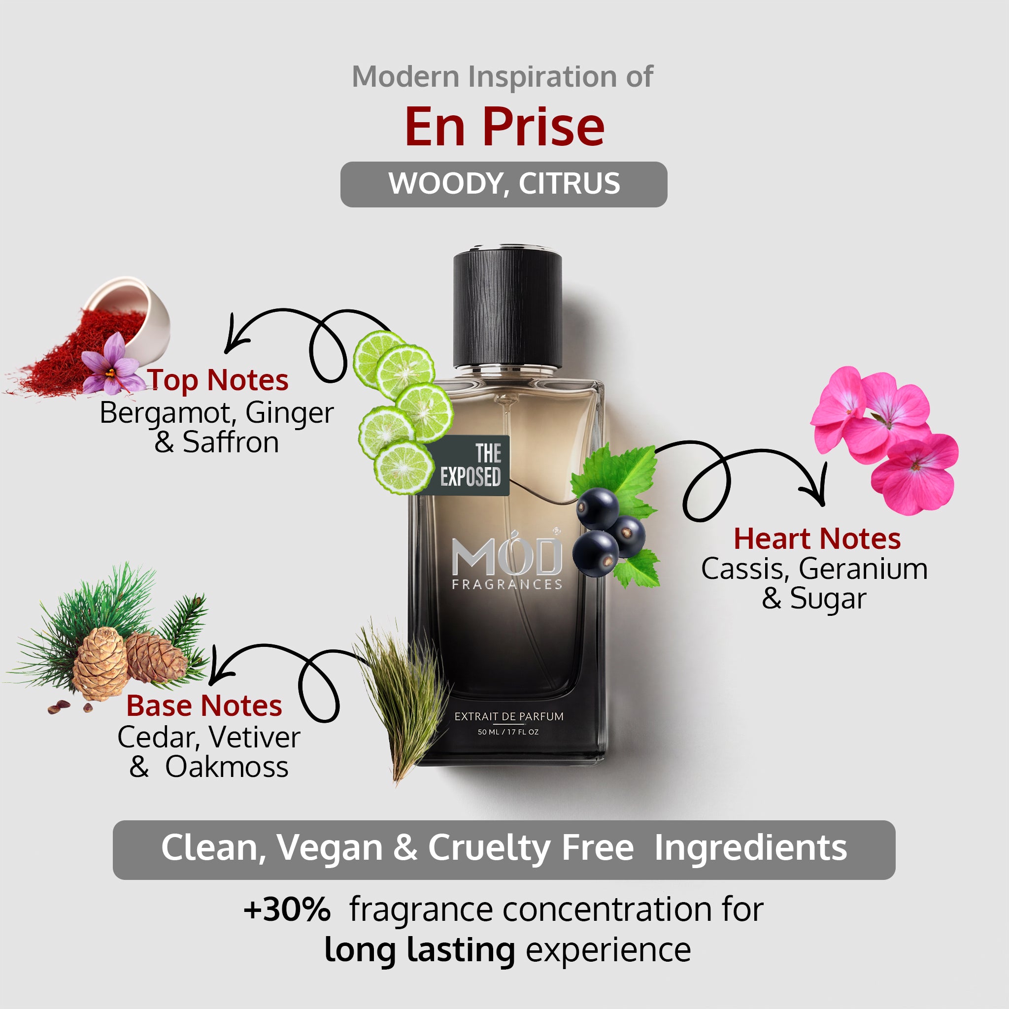 An informational graphic for MOD Fragrances' "The Exposed" displays the bottle in the center, with arrows pointing to the top, heart, and base notes, listing ingredients like Bergamot, ginger, saffron, cassis, geranium, sugar, cedar, vetiver & oak moss , and highlighting its clean, vegan, and cruelty-free composition.