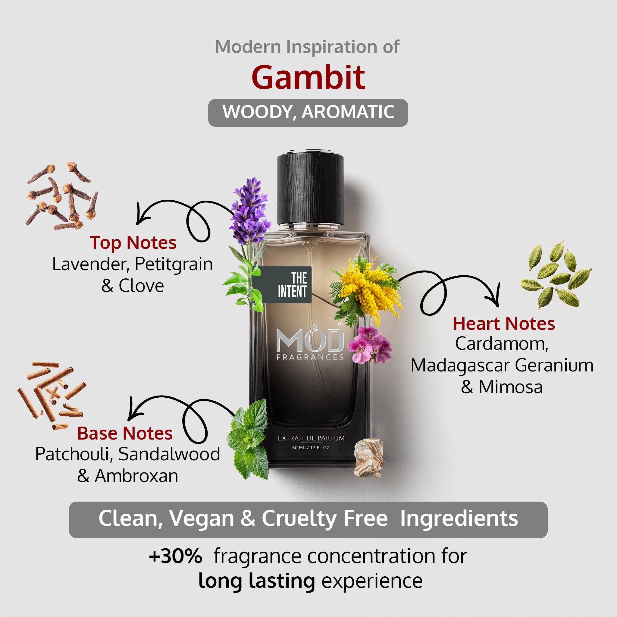 Mod Fragrances bottle with botanical elements and product details on a light gray background