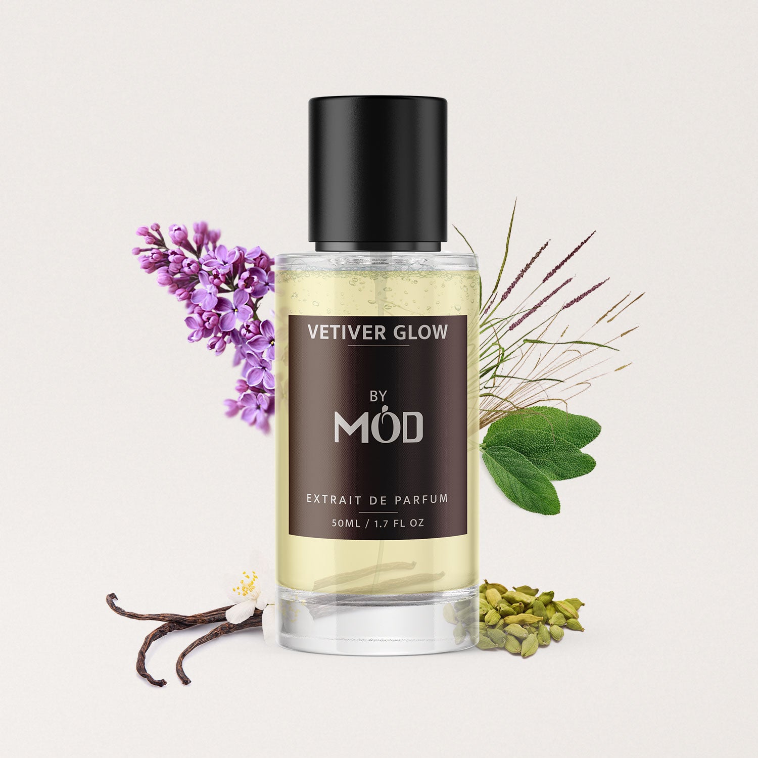 Vetiver Glow - Mod Fragrances