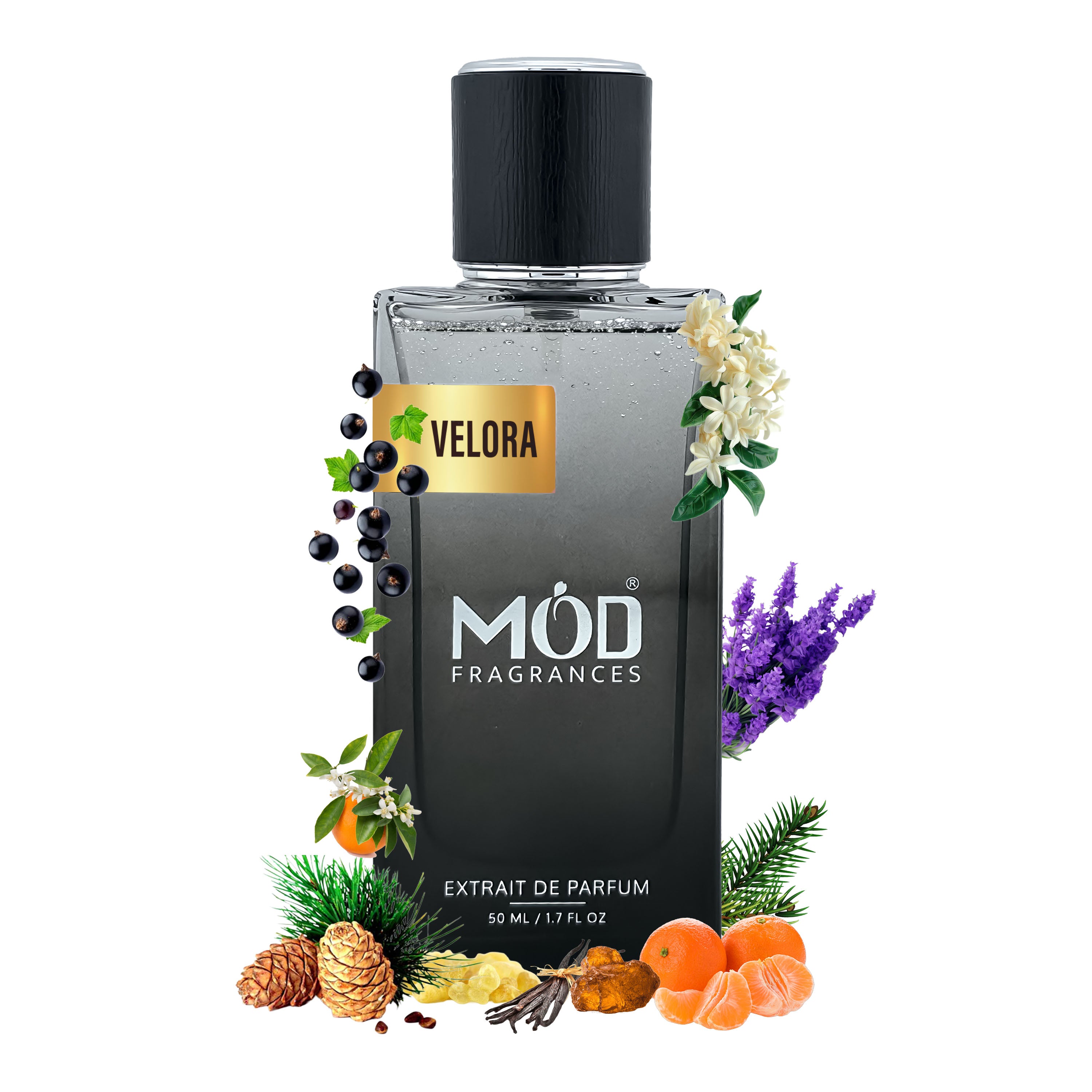 Libre Perfume Dupe  Velora MOD Fragrances bottle with floral and fruit elements on a white background