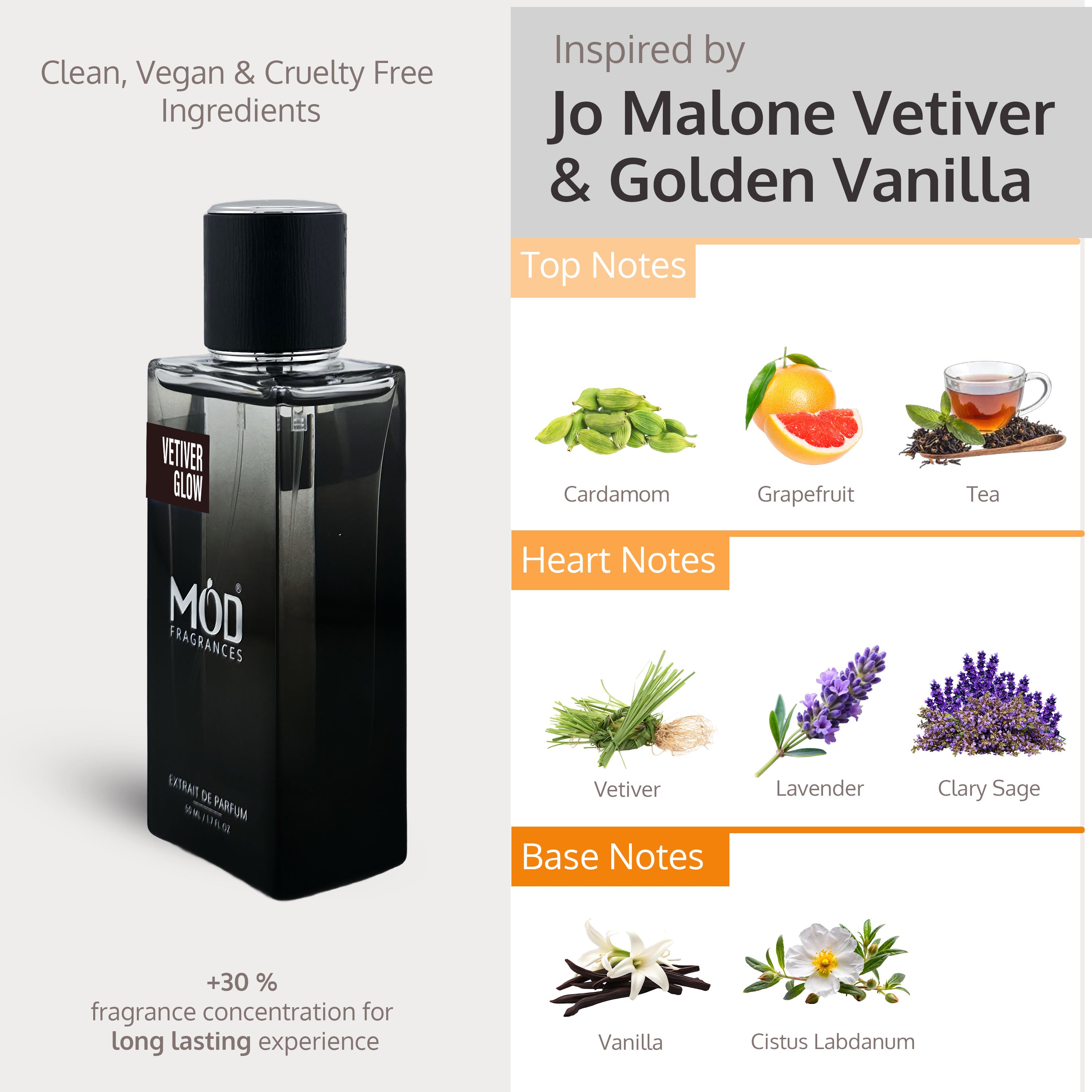 Vetiver & Golden Vanilla Dupe Perfume bottle with flavor notes and brand inspiration on a white background